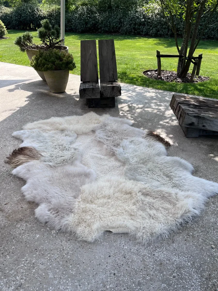 Angelica by Wol Society, a creamy white and pale grey sheep skin rug with rust-tipped edges