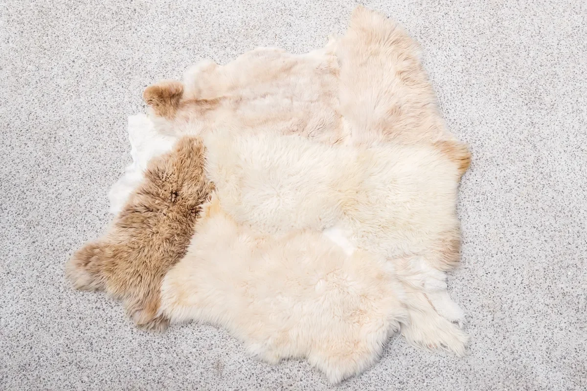 Ghost by Wol Society, a pale cream sheep skin rug with one caramel pelt along the side