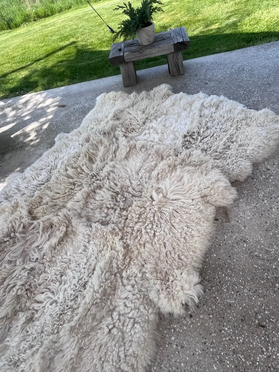 Odette by Wol Society, a curly ivory Heidsnucke sheep skin rug with dense locks
