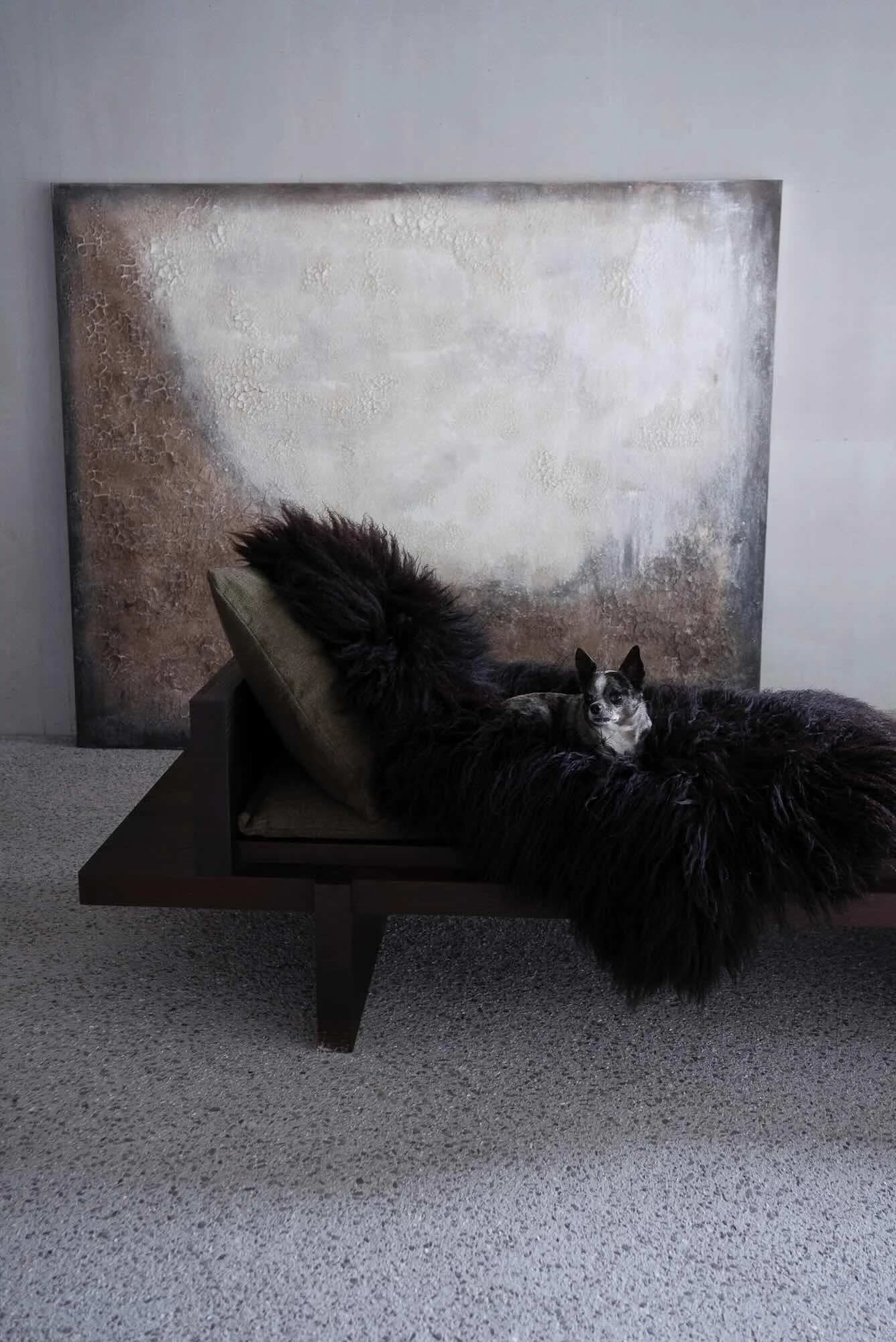 bob on a sheepskin rug