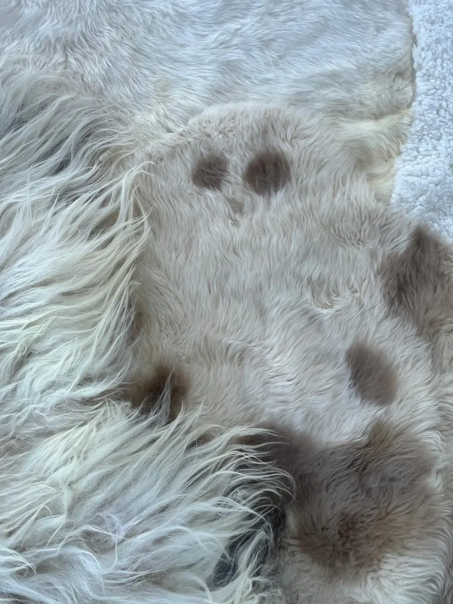 Poppy Puff by Wol Society, an ivory patchwork sheepskin rug with taupe spots and brown-edged pelts