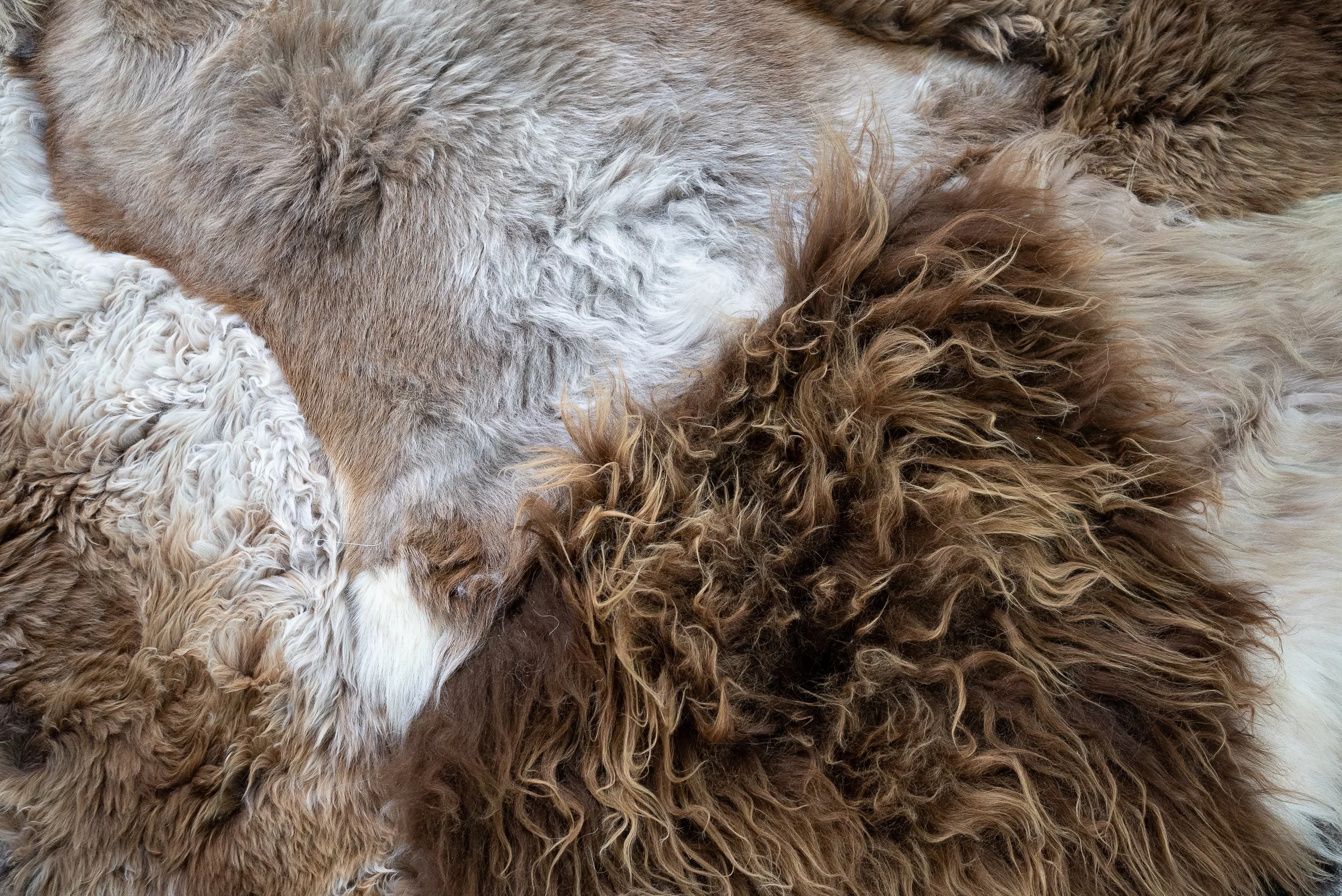 Bandit by Wol Society, a brown patchwork sheepskin rug in chocolate, espresso, taupe and cream