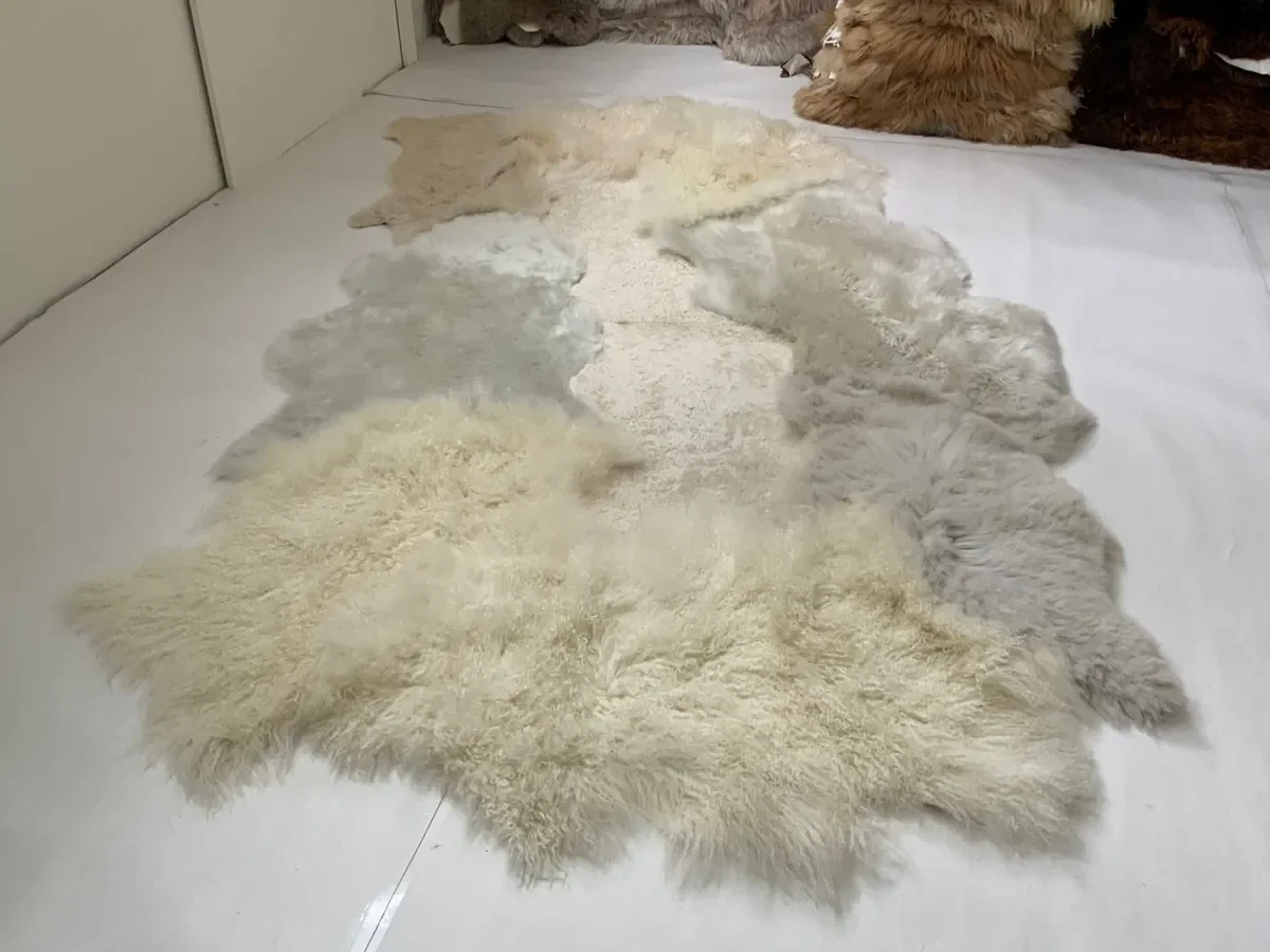 Magnolia by Wol Society, a cream and dove grey sheepskin rug with curly and smooth pelts