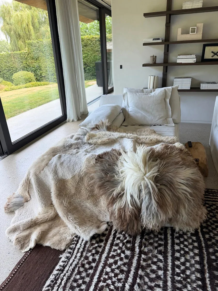 Noodles by Wol Society, a taupe and cream sheep skin rug with a smooth ivory center and a shaggy grey-brown pelt