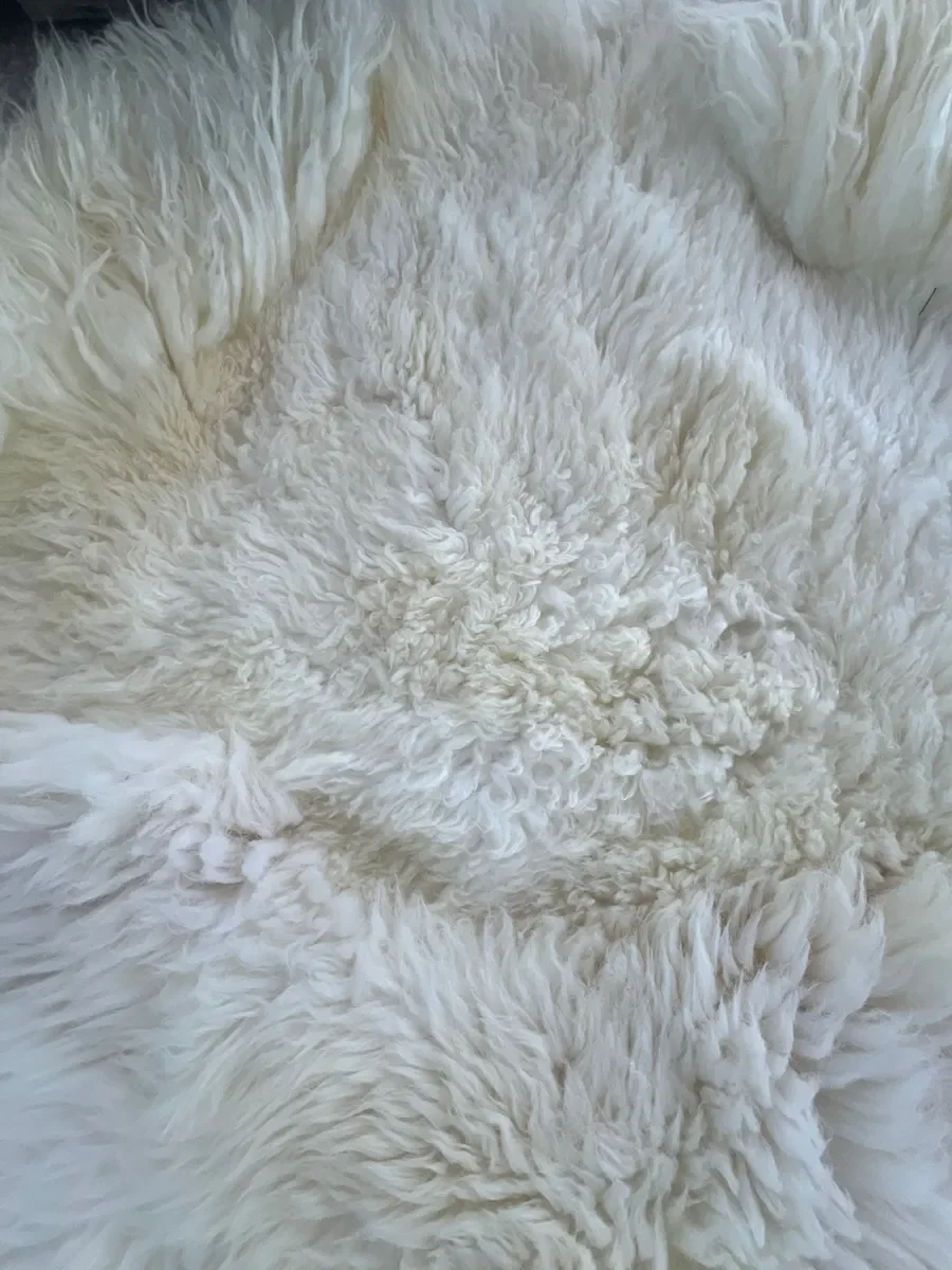 Winnie by Wol Society, a large creamy white sheepskin rug with long, airy fleece