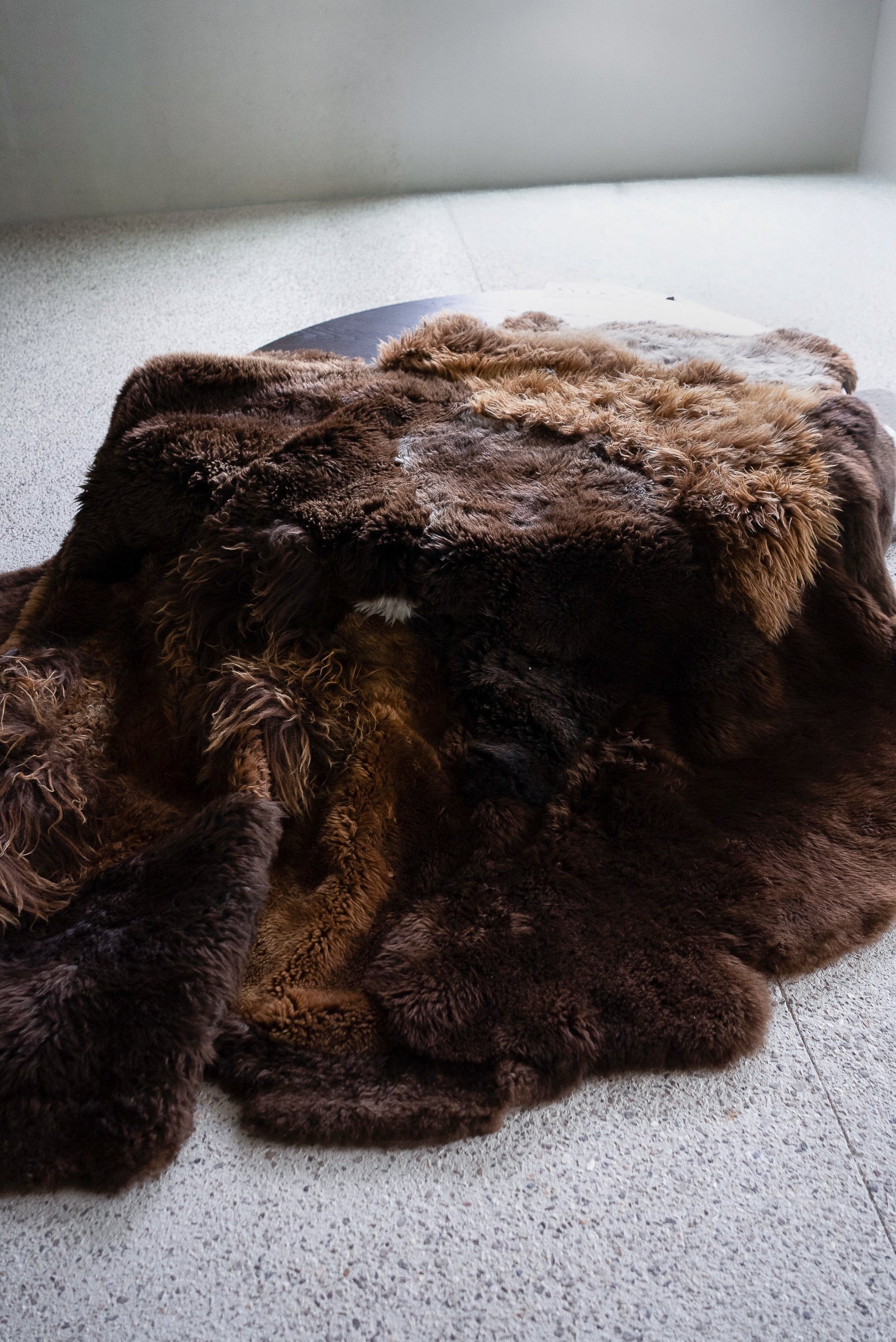 Casper by Wol Society, a shaggy deep chocolate brown sheepskin rug with honey highlights