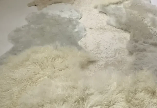 Magnolia-sheepskin-rug-1.webp