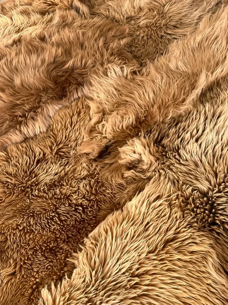 Mountain Hugs by Wol Society, a caramel and honey Heidsnucke sheep skin rug with plush fleece