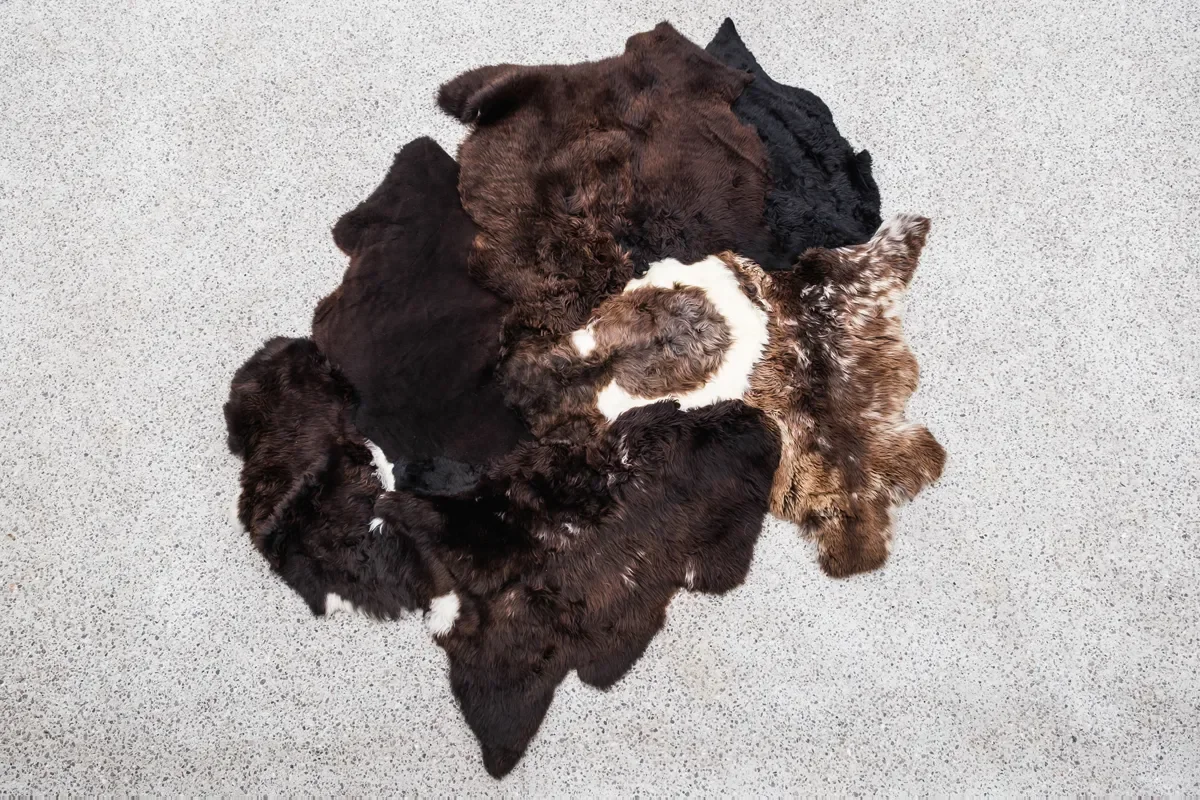Titan by Wol Society, a dark brown sheepskin rug with a swirl of white at its center