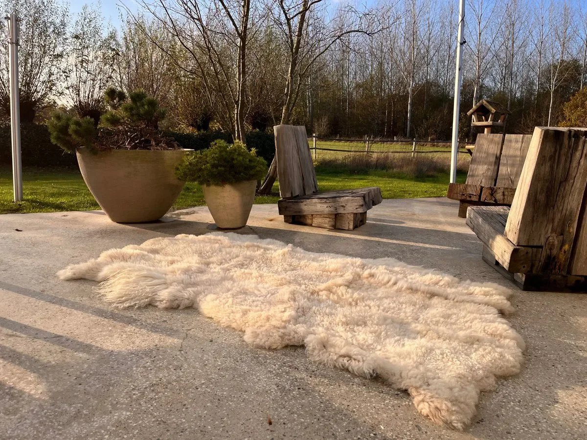 Pixie by Wol Society, a curly oatmeal and cream sheep skin rug with longer locks at the edges