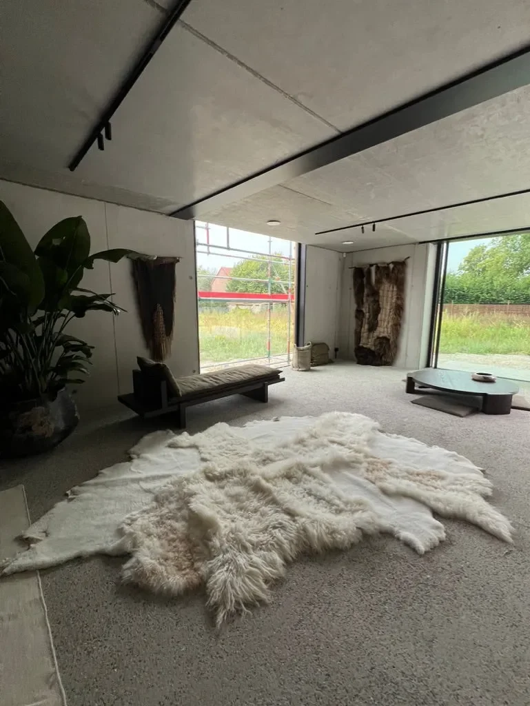 Mieke 201 by Wol Society, a large ivory sheep skin rug with long, wavy fleece flecked with blush and taupe