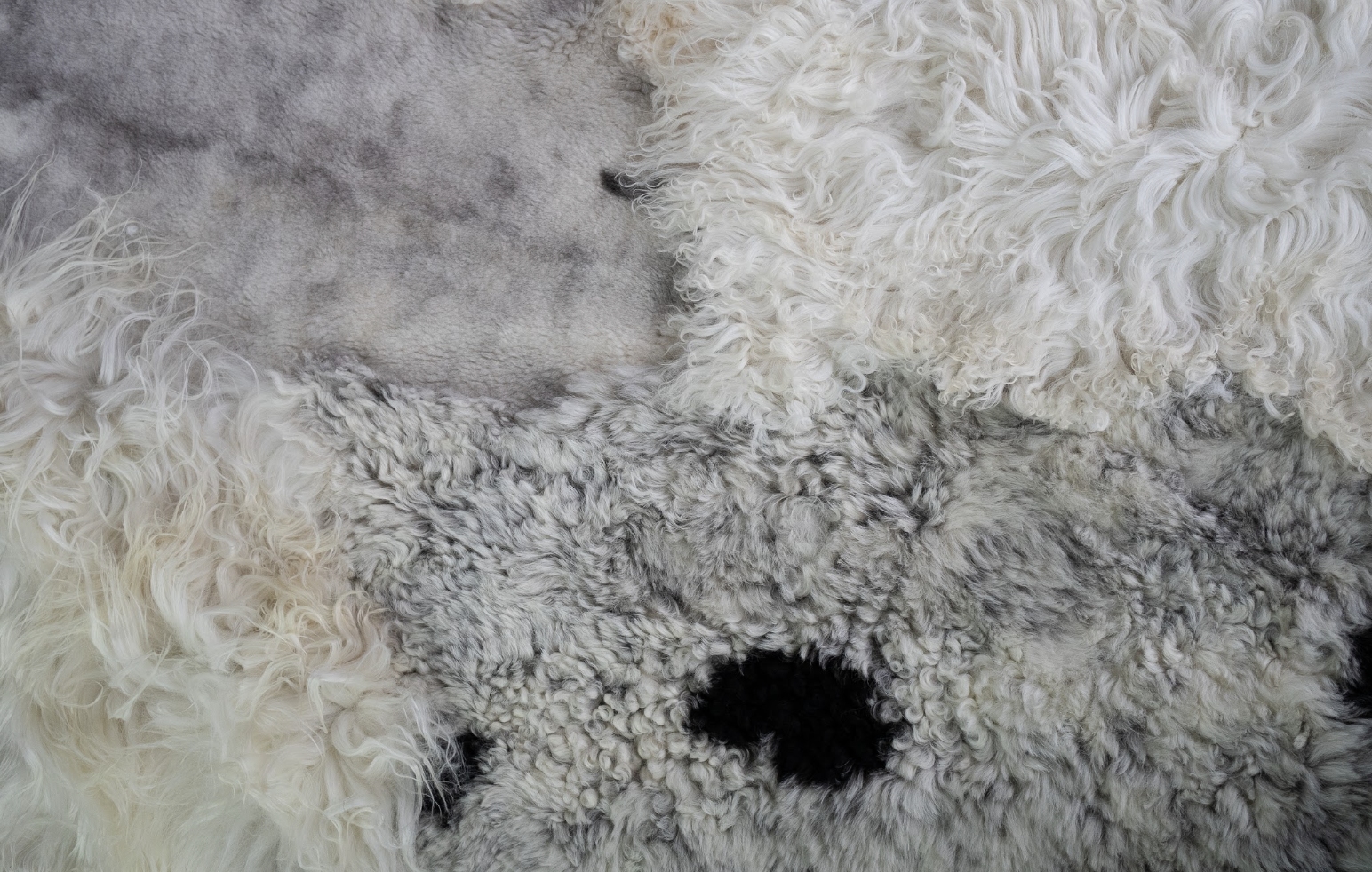 Bohdi by Wol Society, a black and white patchwork sheepskin rug with a smooth dove-grey center