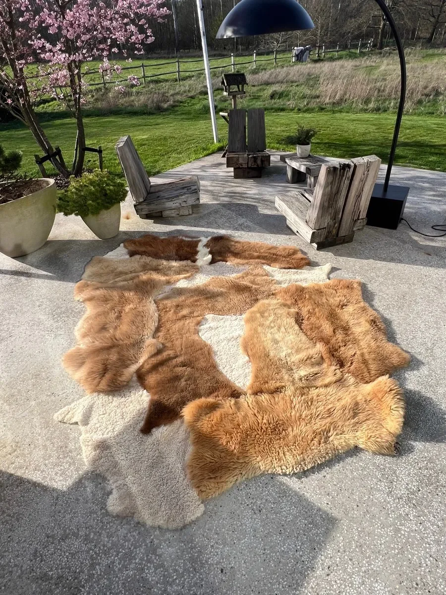 Wuzzy by Wol Society, a large caramel and honey sheep skin rug with patches of curly cream