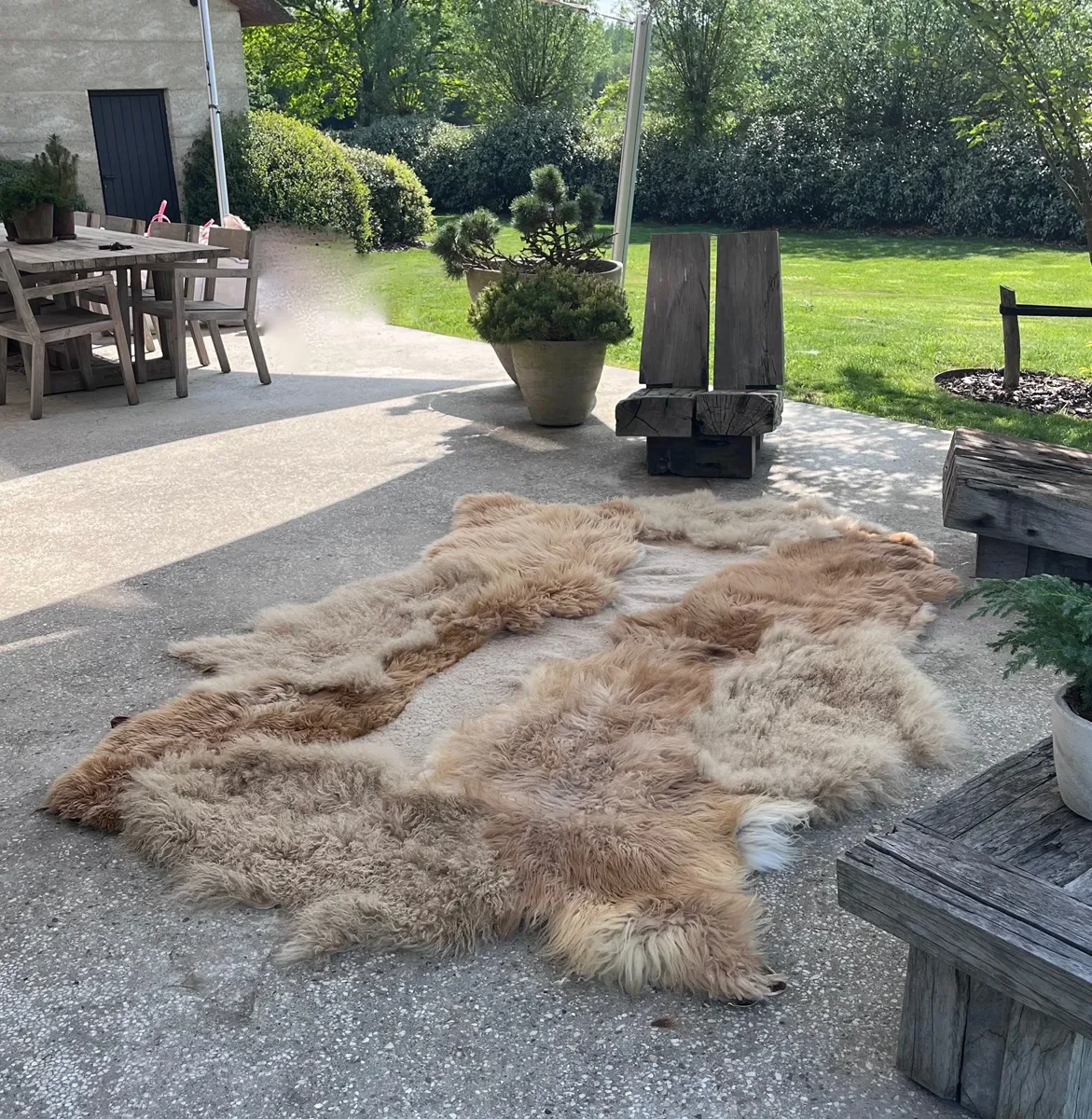 Pickles by Wol Society, a honey and sand sheep skin rug with shaggy fleece around a sandy beige center