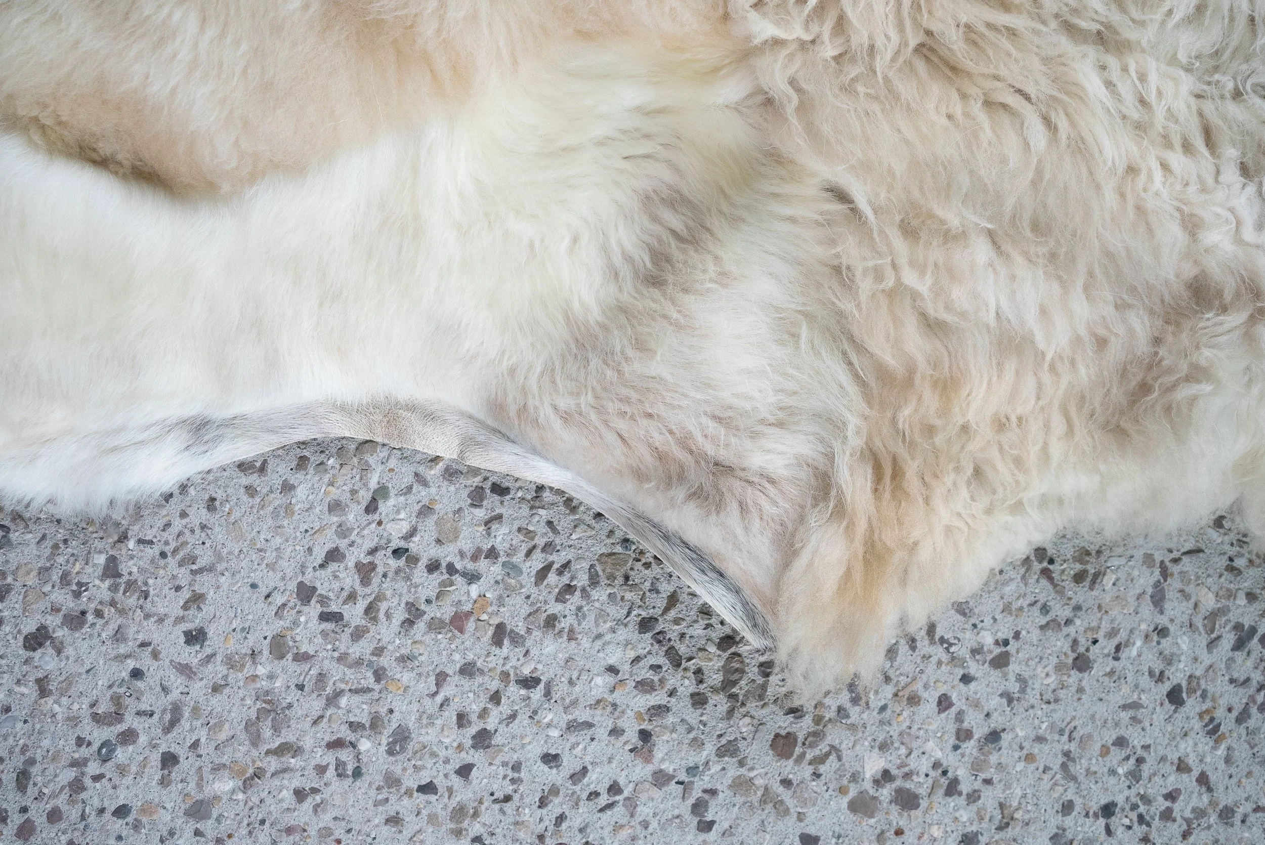 alfie-grey-white-sheepskin-rug (6).jpg