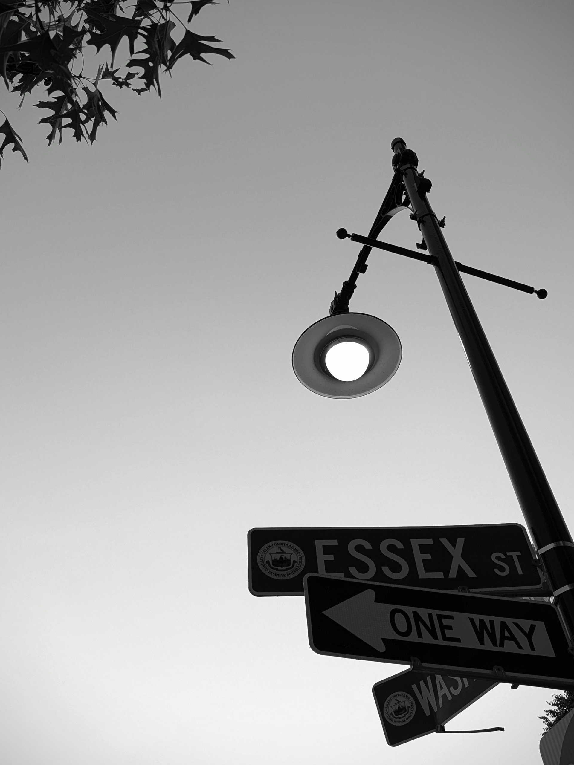 Black and white photo of a street sign for Essex Street and a one-way road, with a streetlamp and some tree leaves in the background, under an overcast sky.