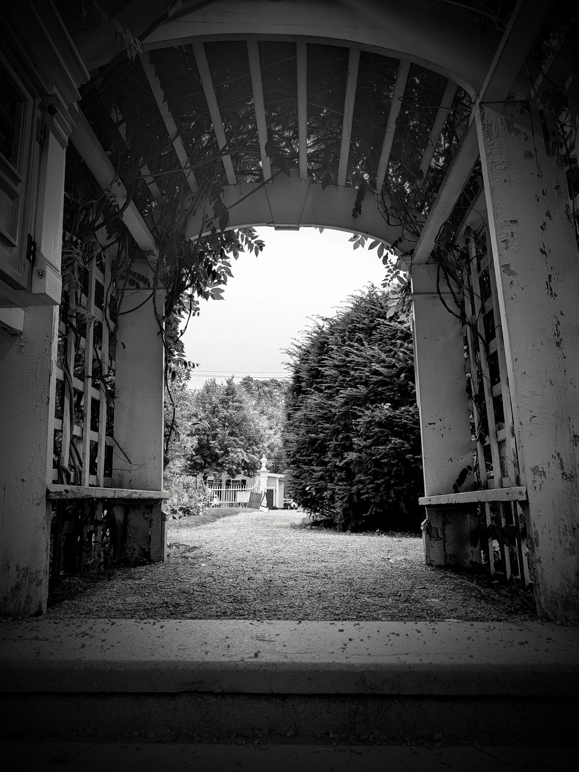 Black and white photo of an open garden gate leading to a yard with trees and a small building in the background under a bright sky.