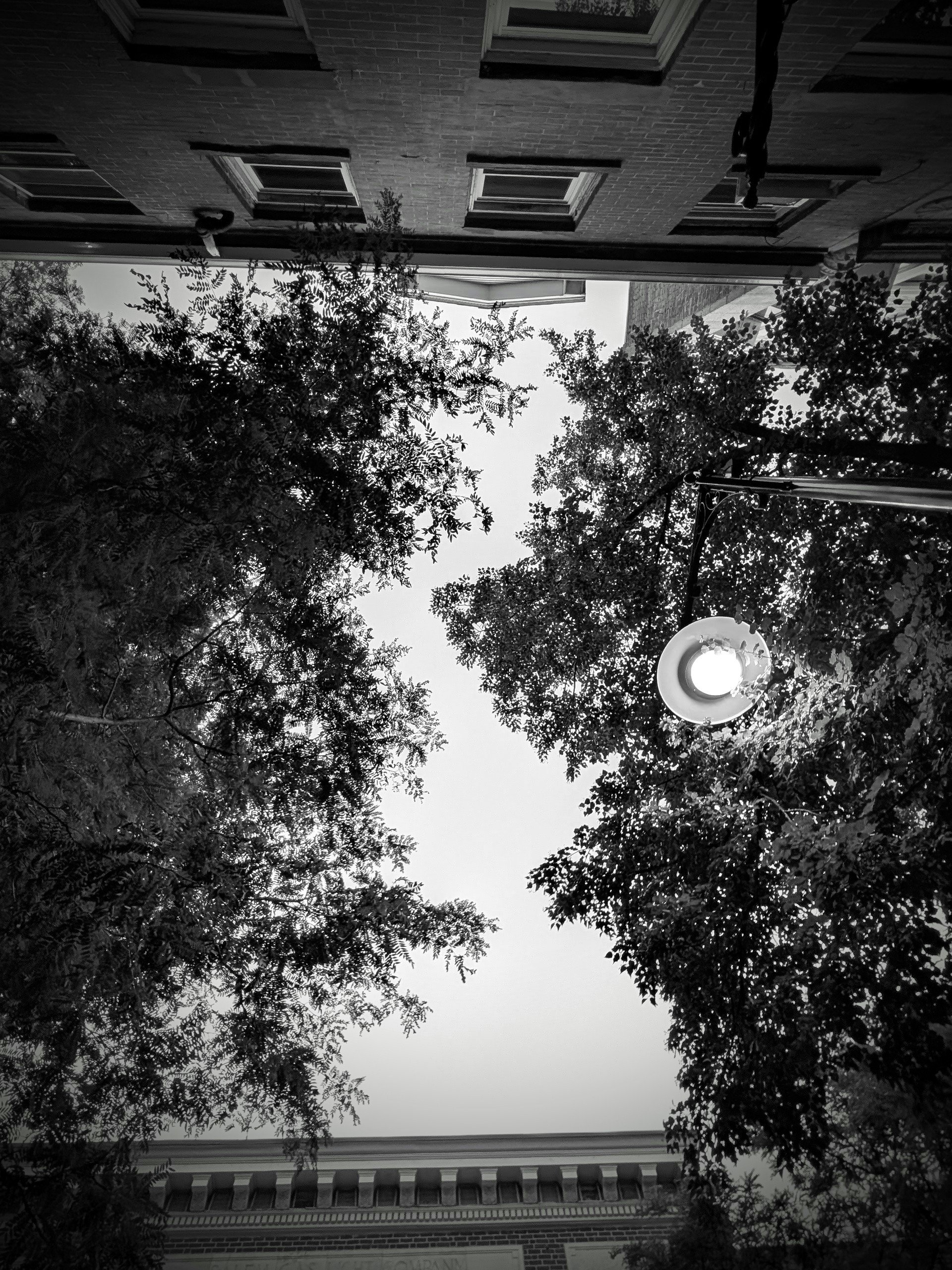 Black and white photo looking up at a house with multiple windows, trees surrounding the house, and a street lamp in the foreground.