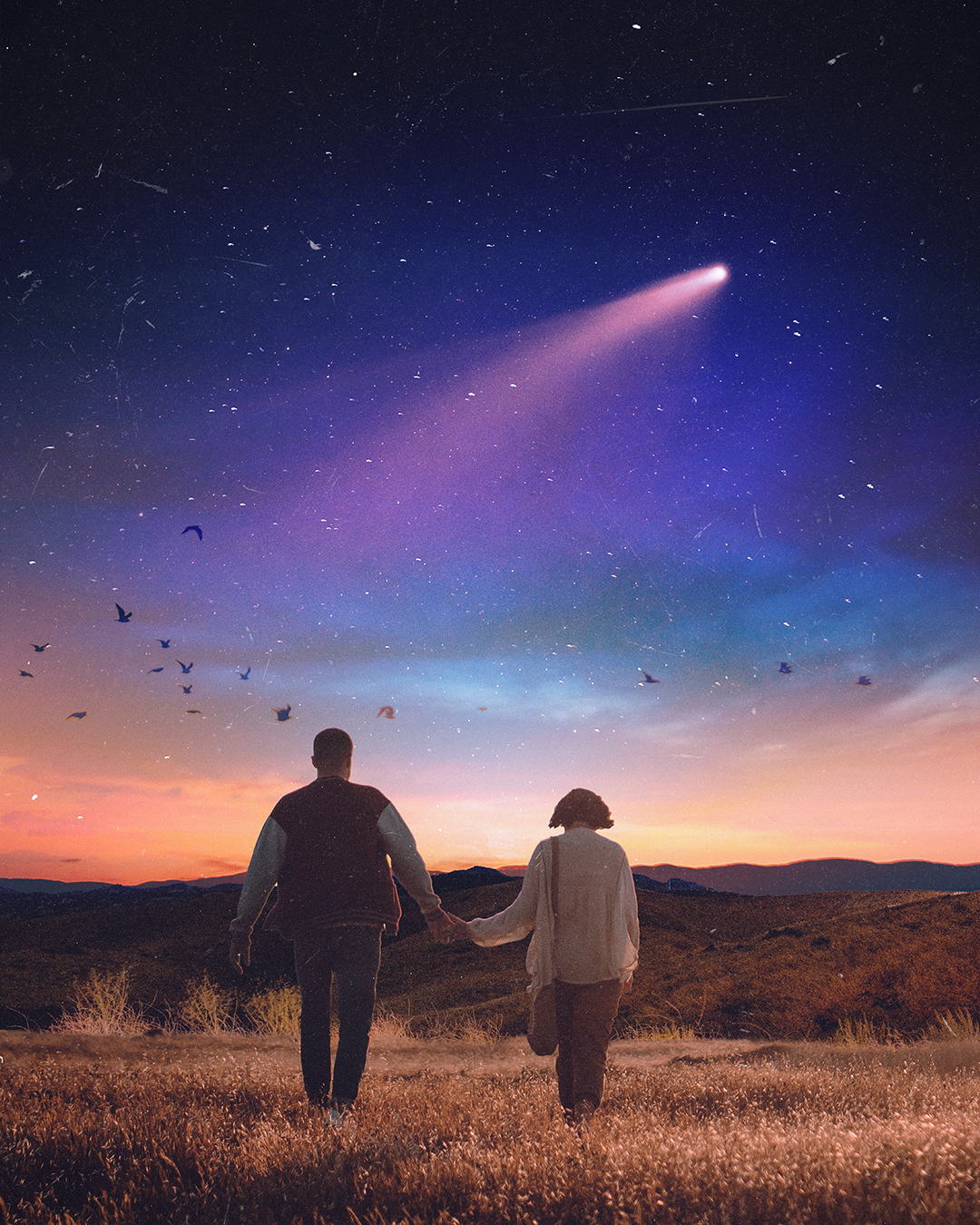 A couple holding hands walking through grassy fields at sunset under a starry sky with a visible comet and flying birds.