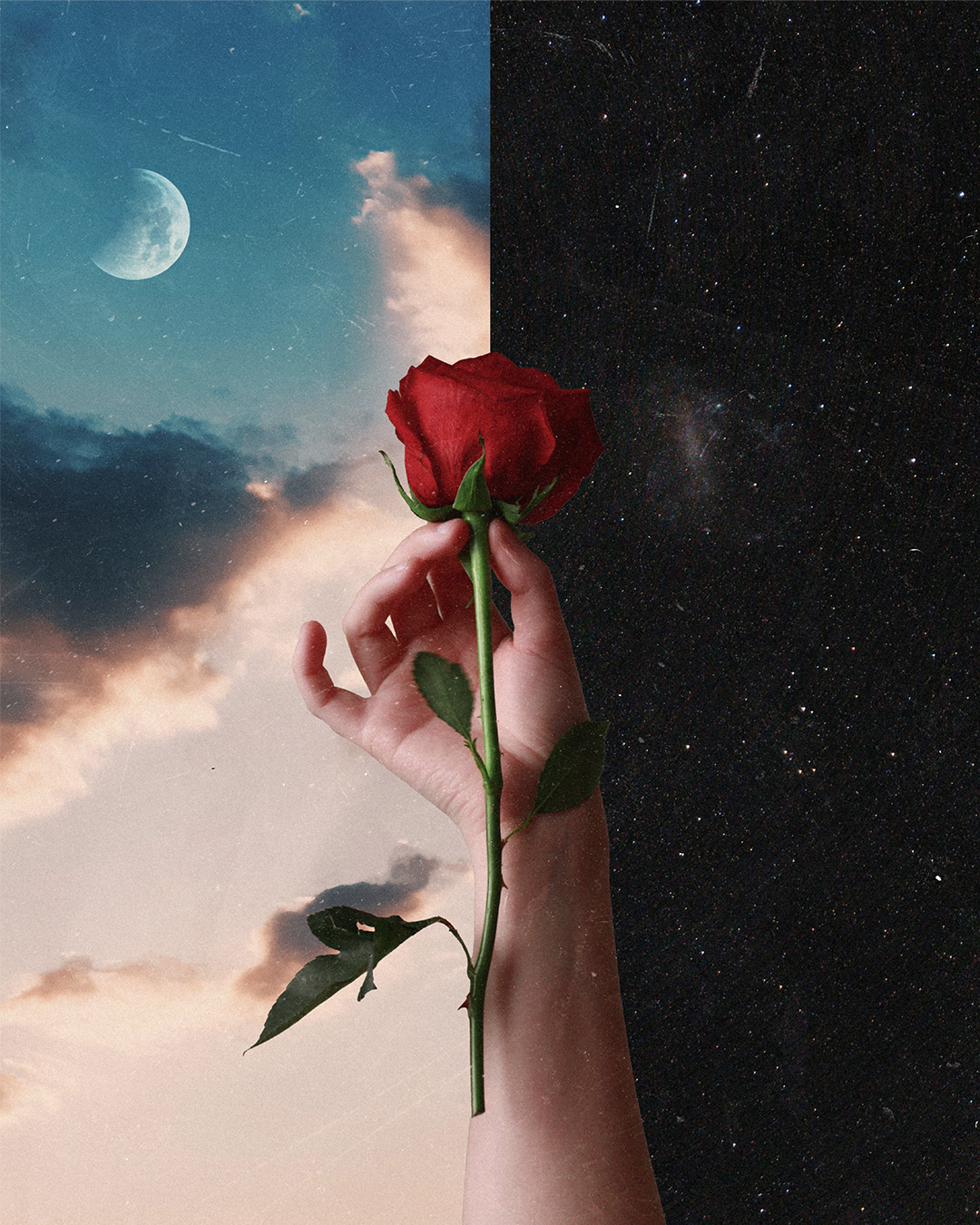 A hand holding a red rose with a background divided into a daytime sky on the left featuring clouds and the moon, and a nighttime sky on the right filled with stars.