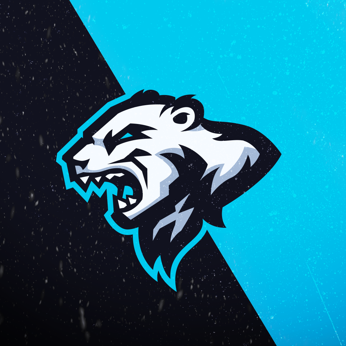 A stylized logo of a roaring polar bear's head in black and white with blue accents, set against a split background of black and light blue.