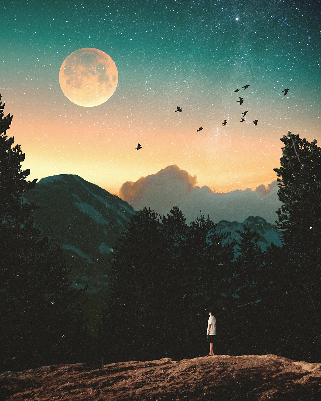 Person standing on a rocky hill under a starry sky with a large full moon, mountains in the background, and birds flying.