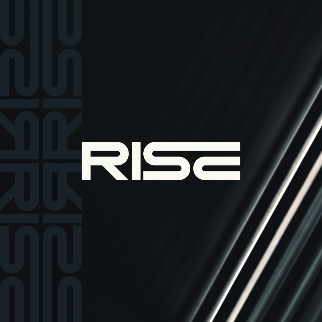 Black background with diagonal streaks of white light, the word 'RISE' in bold white letters.