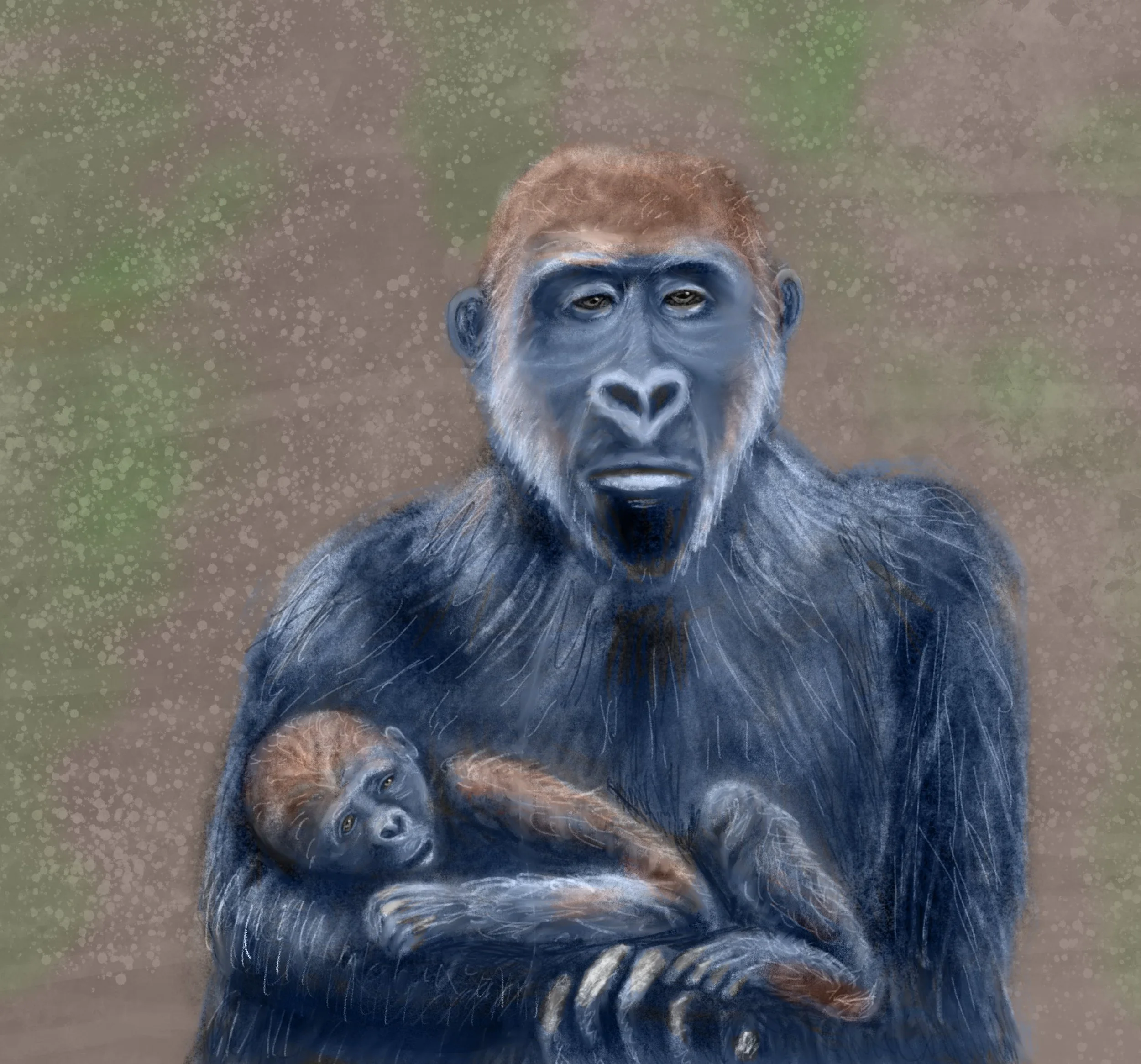20210210_Gorilla.jpg