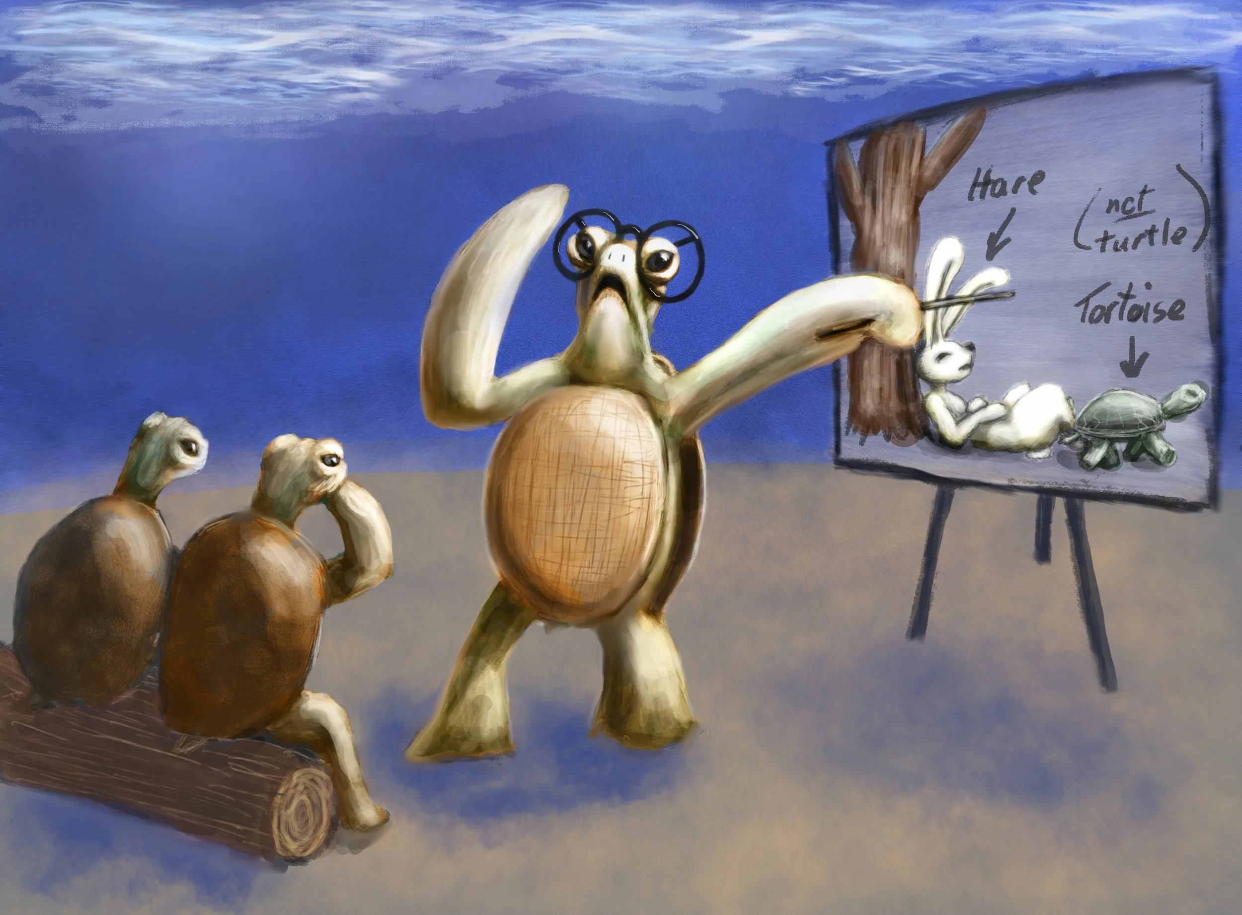 20210218_Turtle.jpg