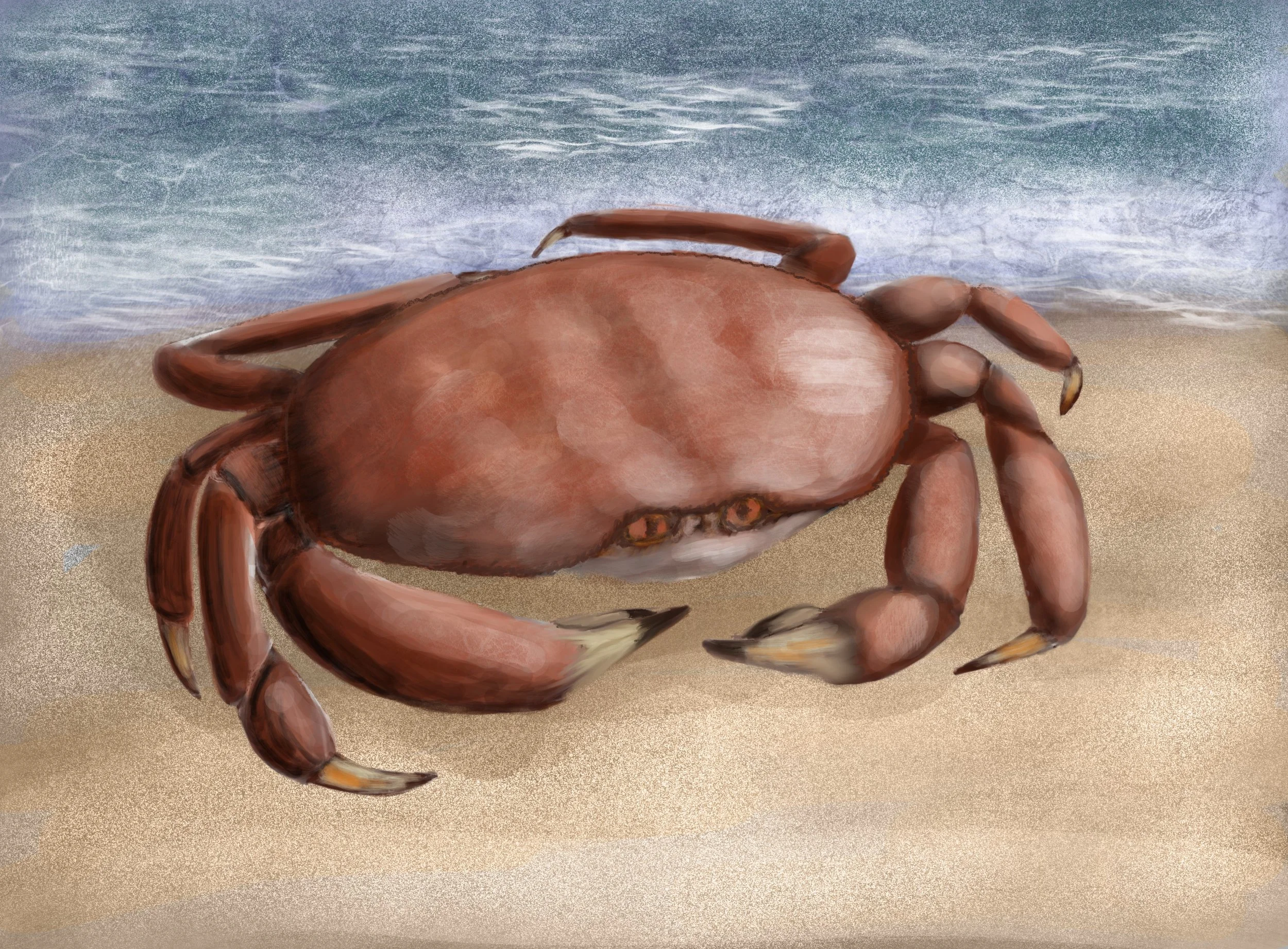 20210220_Crab.jpg
