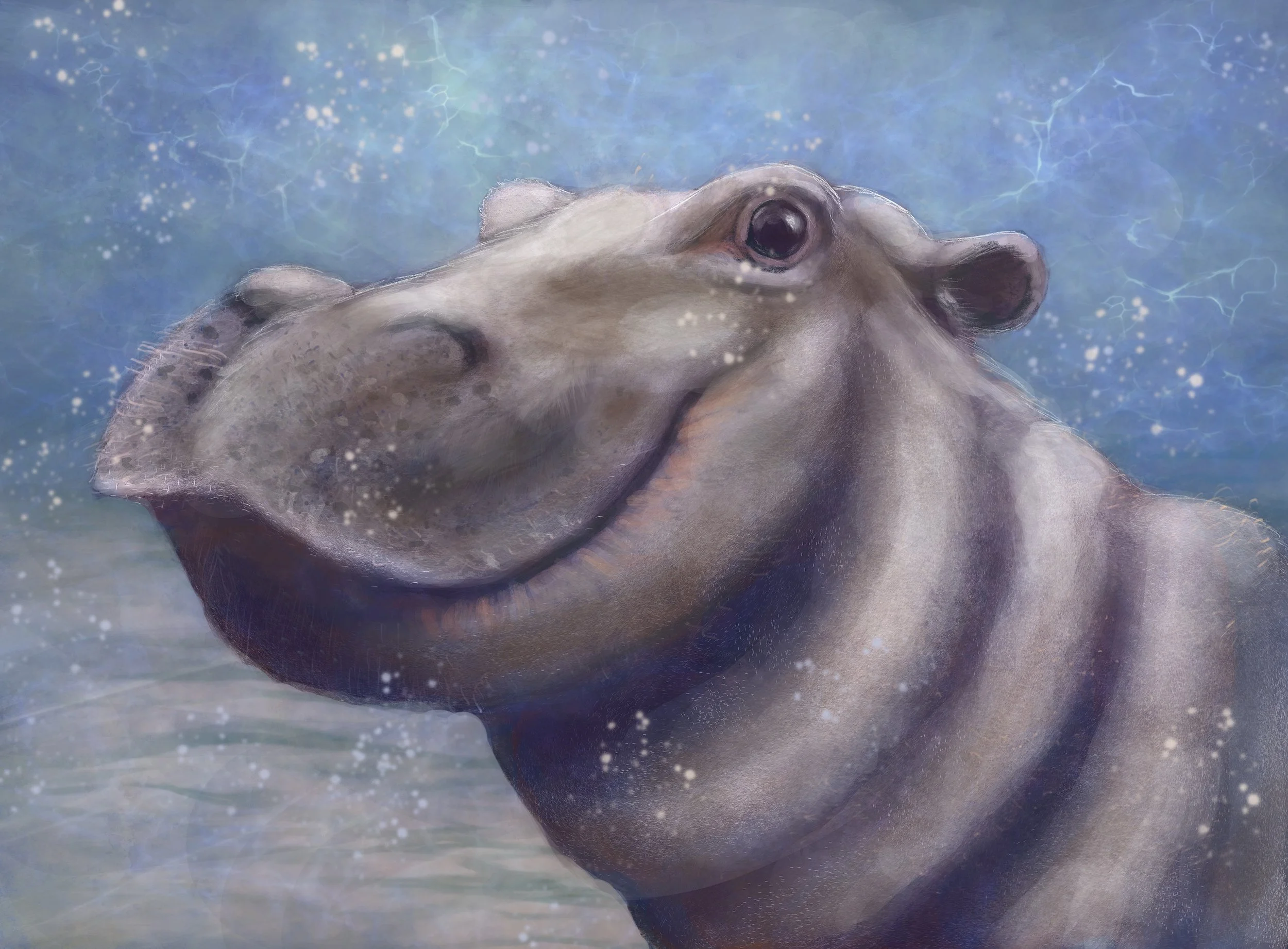 20210215_Hippo.jpg