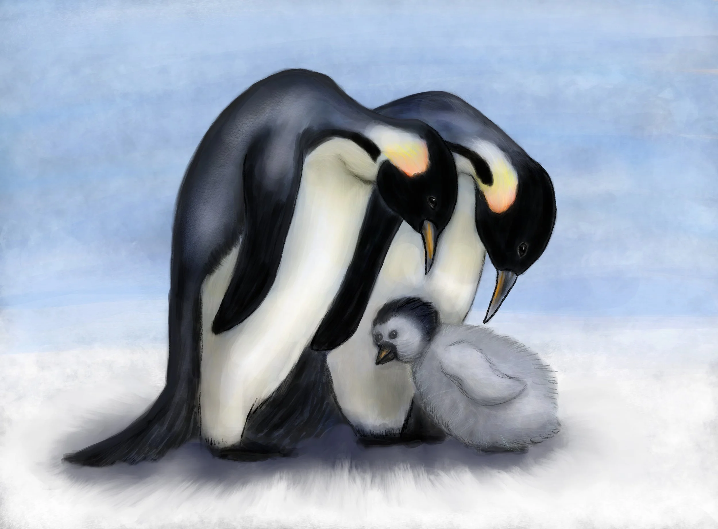 20210221_Penguin.jpg