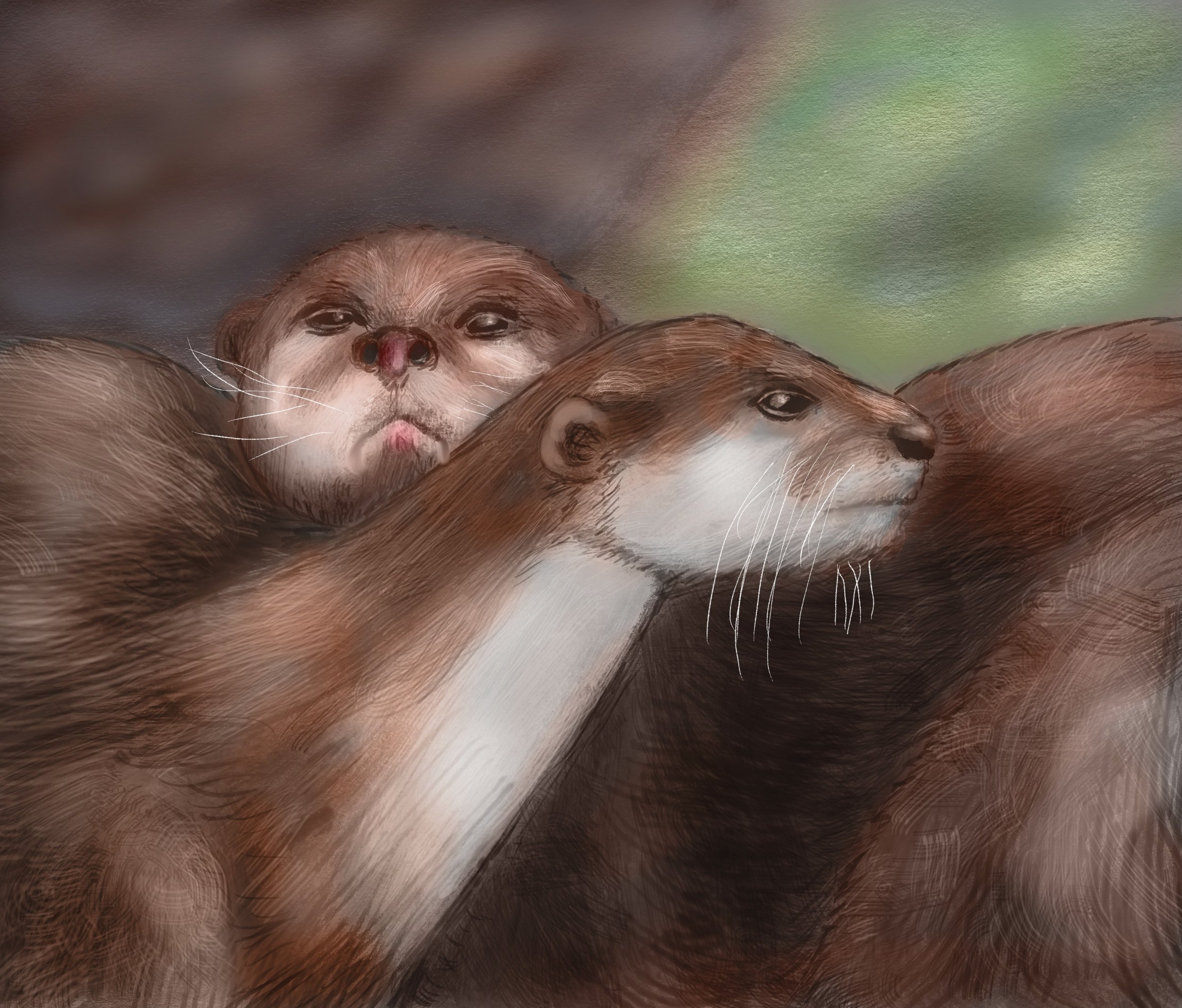 20210211_Otter.jpg