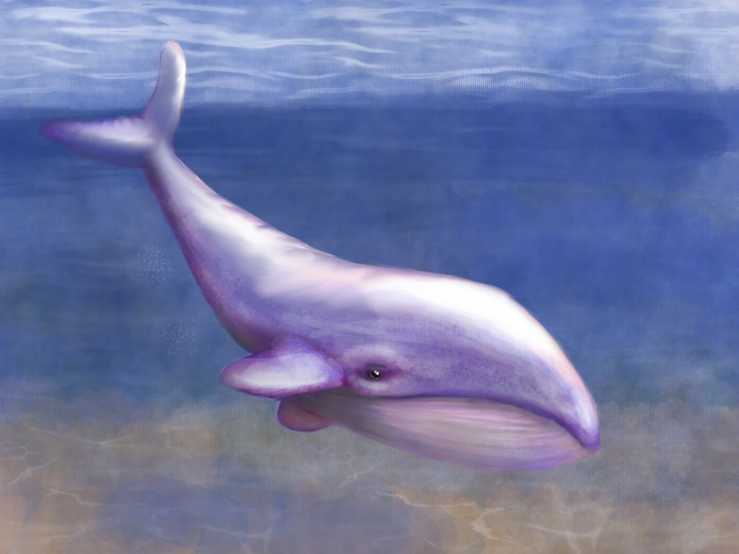 20210216_Whale.jpg