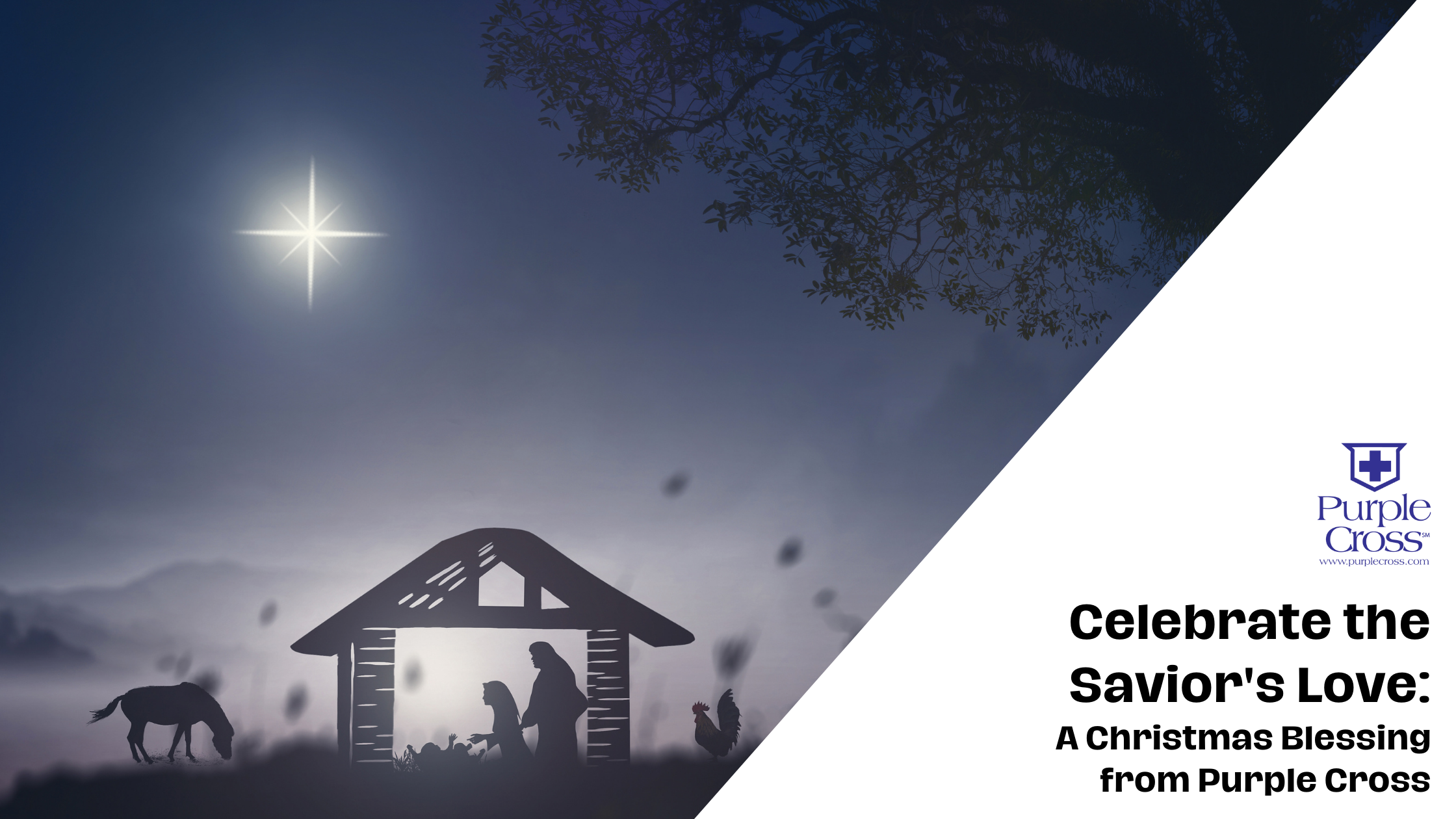 Celebrate the Savior's Love: A Christmas Blessing from Purple Cross