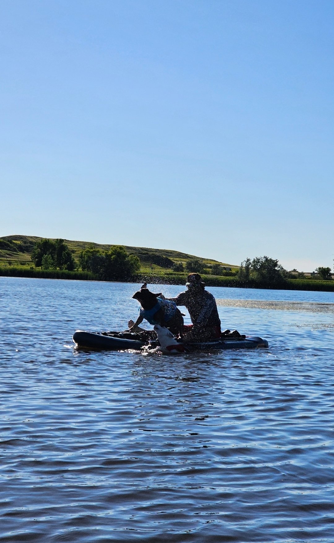 Two people riding a jet ski with a dog on board on a lake, with green hills and trees in the background and clear blue sky.