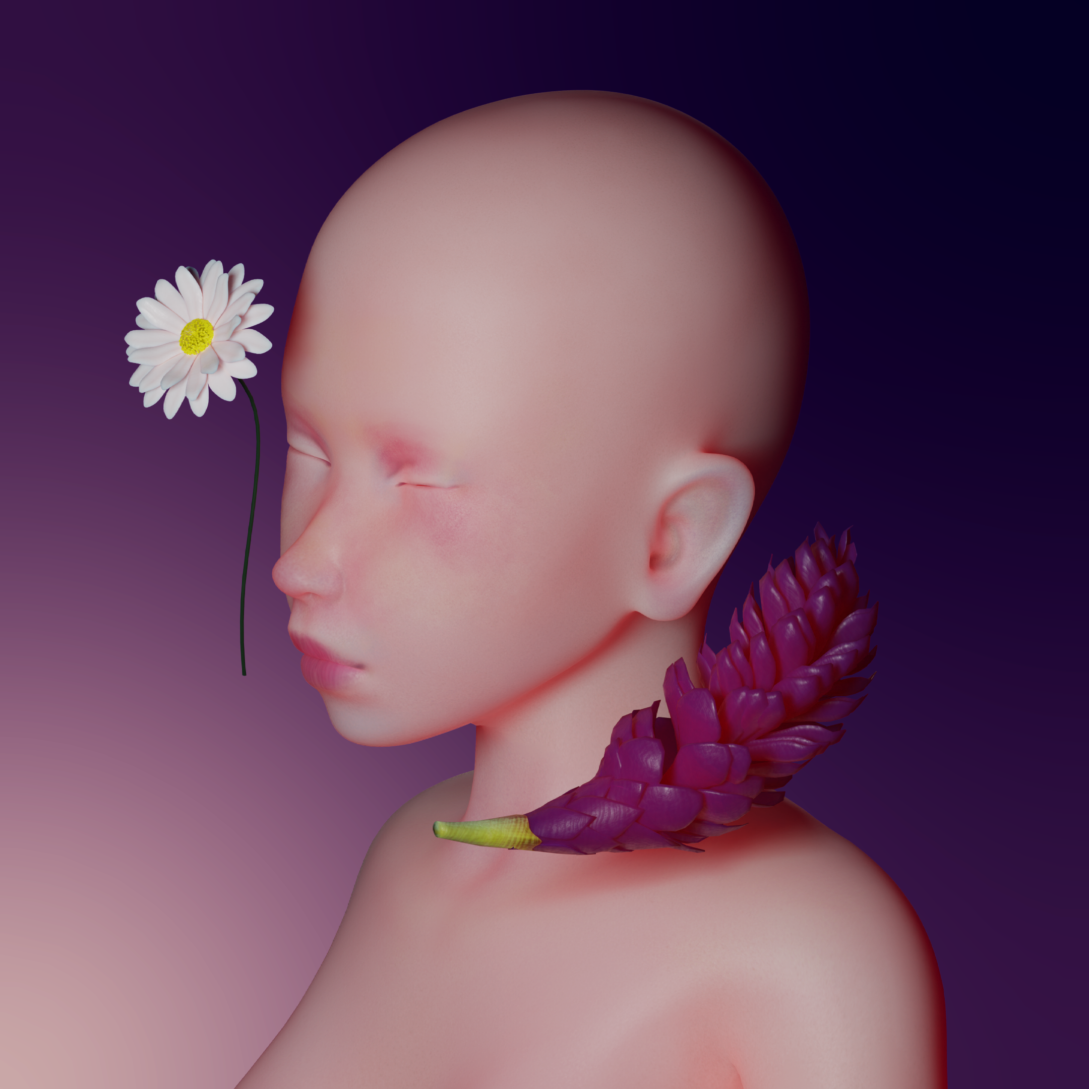 DELICATE.png