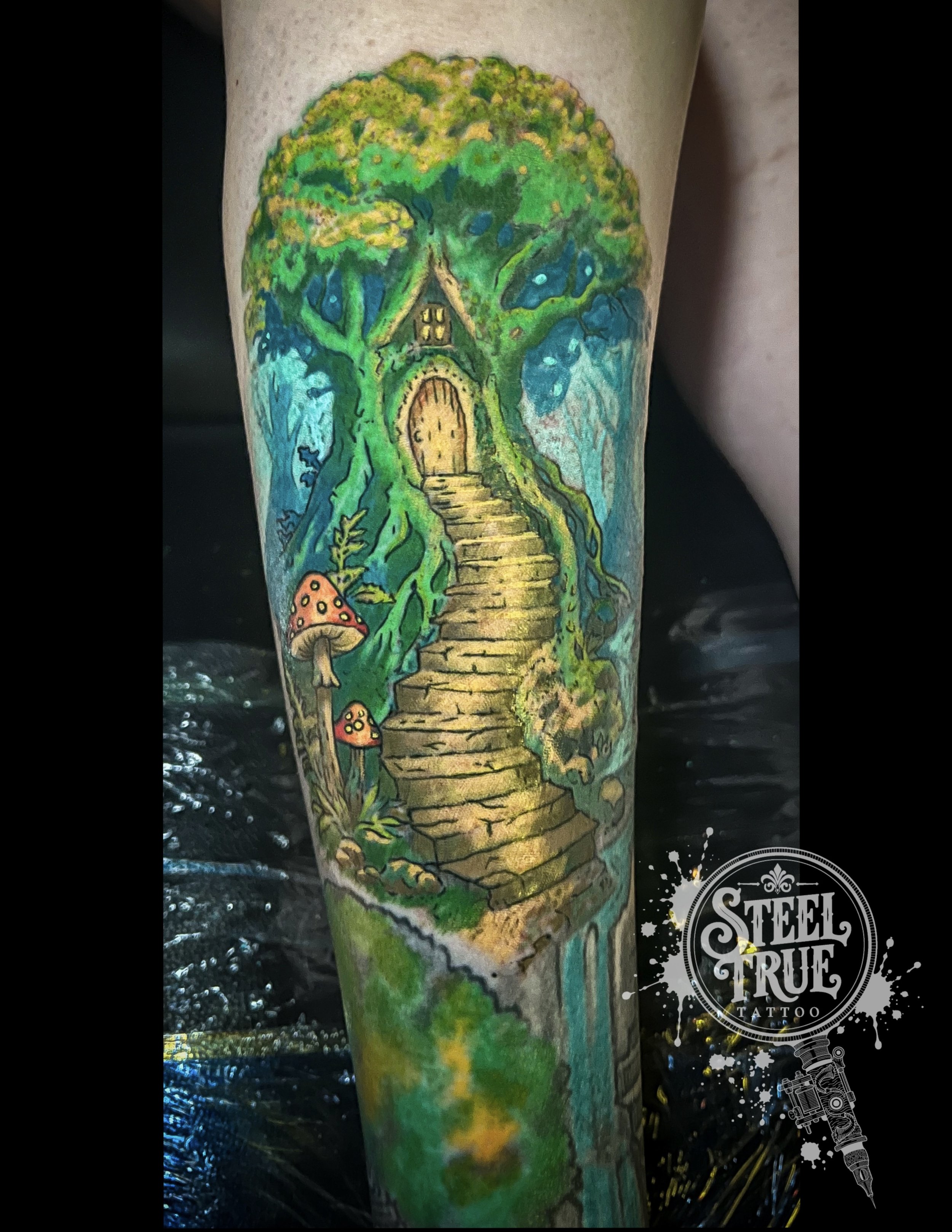 Enchanted Forest