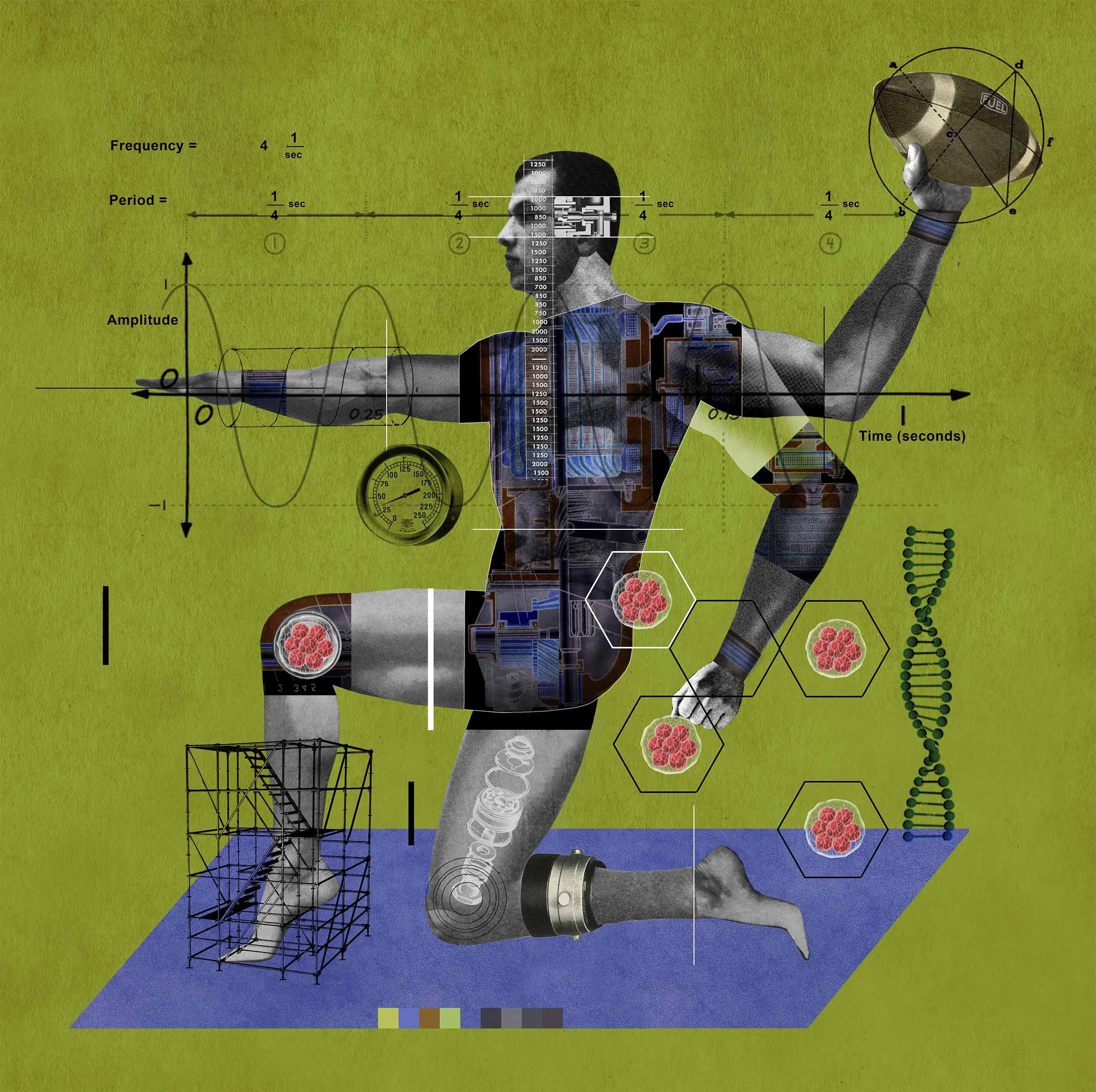 Award-winning Dave Plunkert's Regenerative Illustration of a male football player taking one knee preparing to toss a football with his left hand. He is surroounded by a DNA helix, a set of scafforlding, and stem cells.