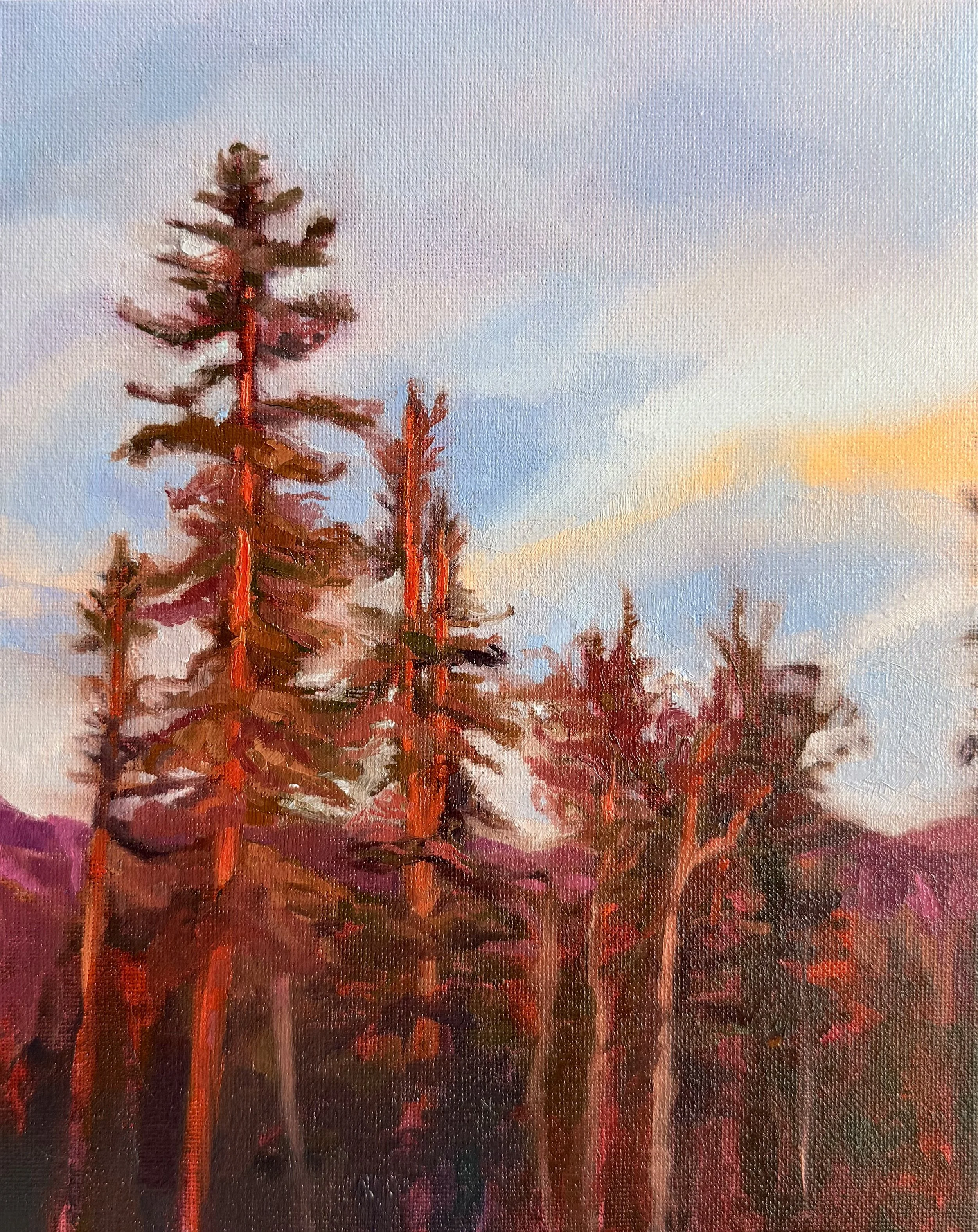 Telluride Sunset