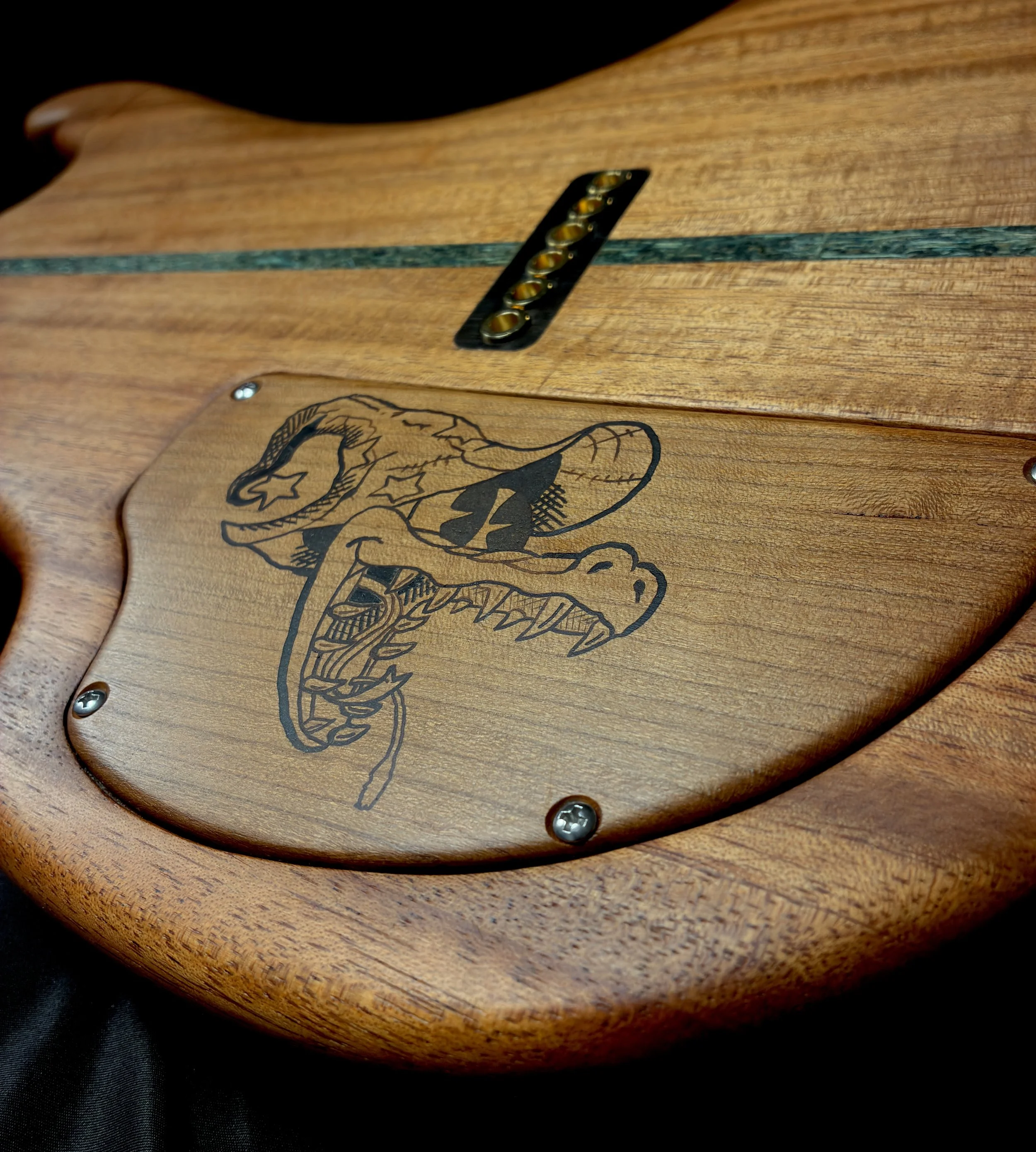 MICRO BACK inlay.jpg