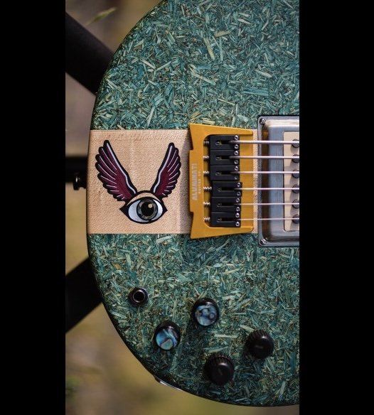 BASS VI inlay.jpg