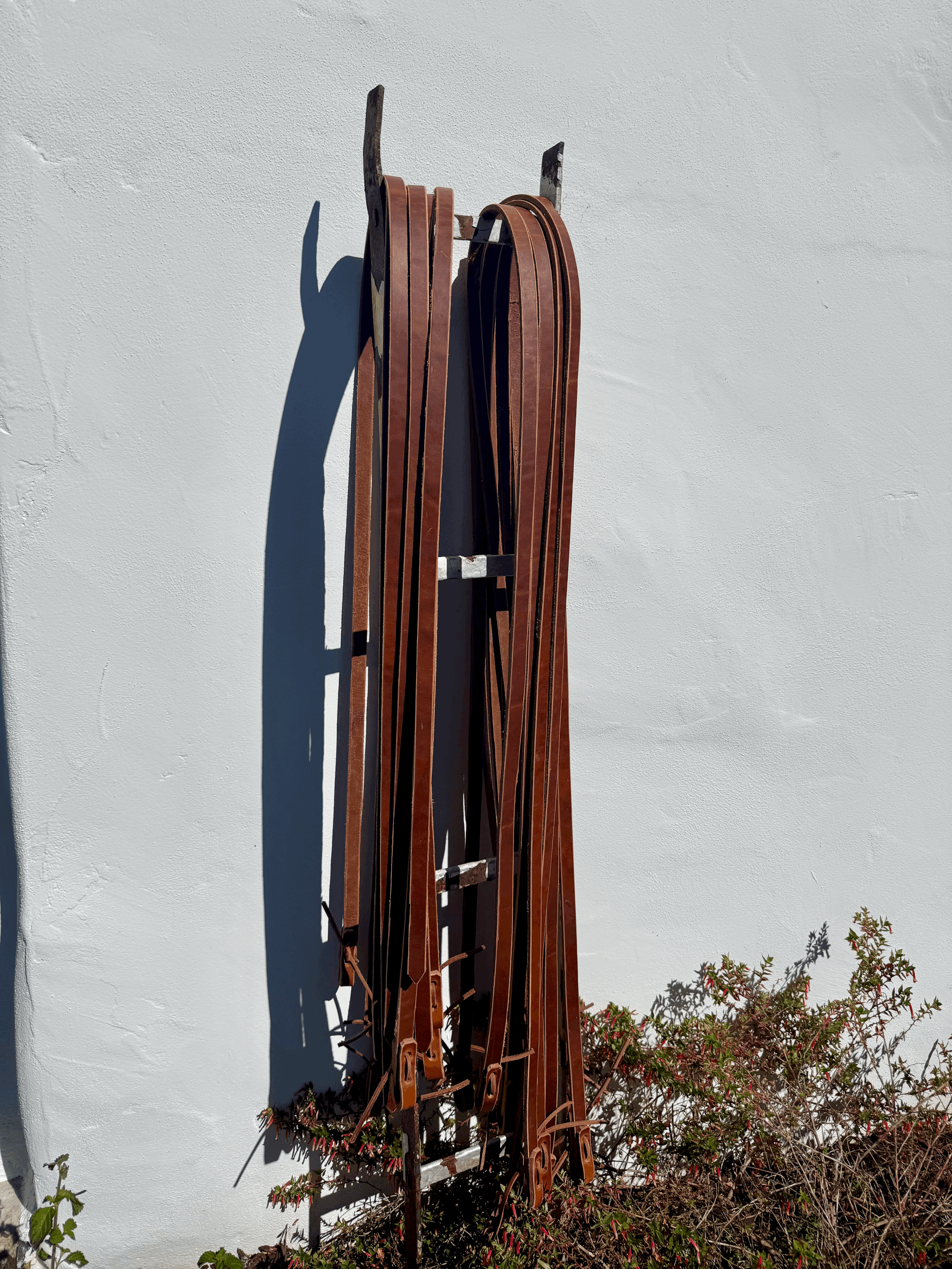 8' Heavy Roper Reins