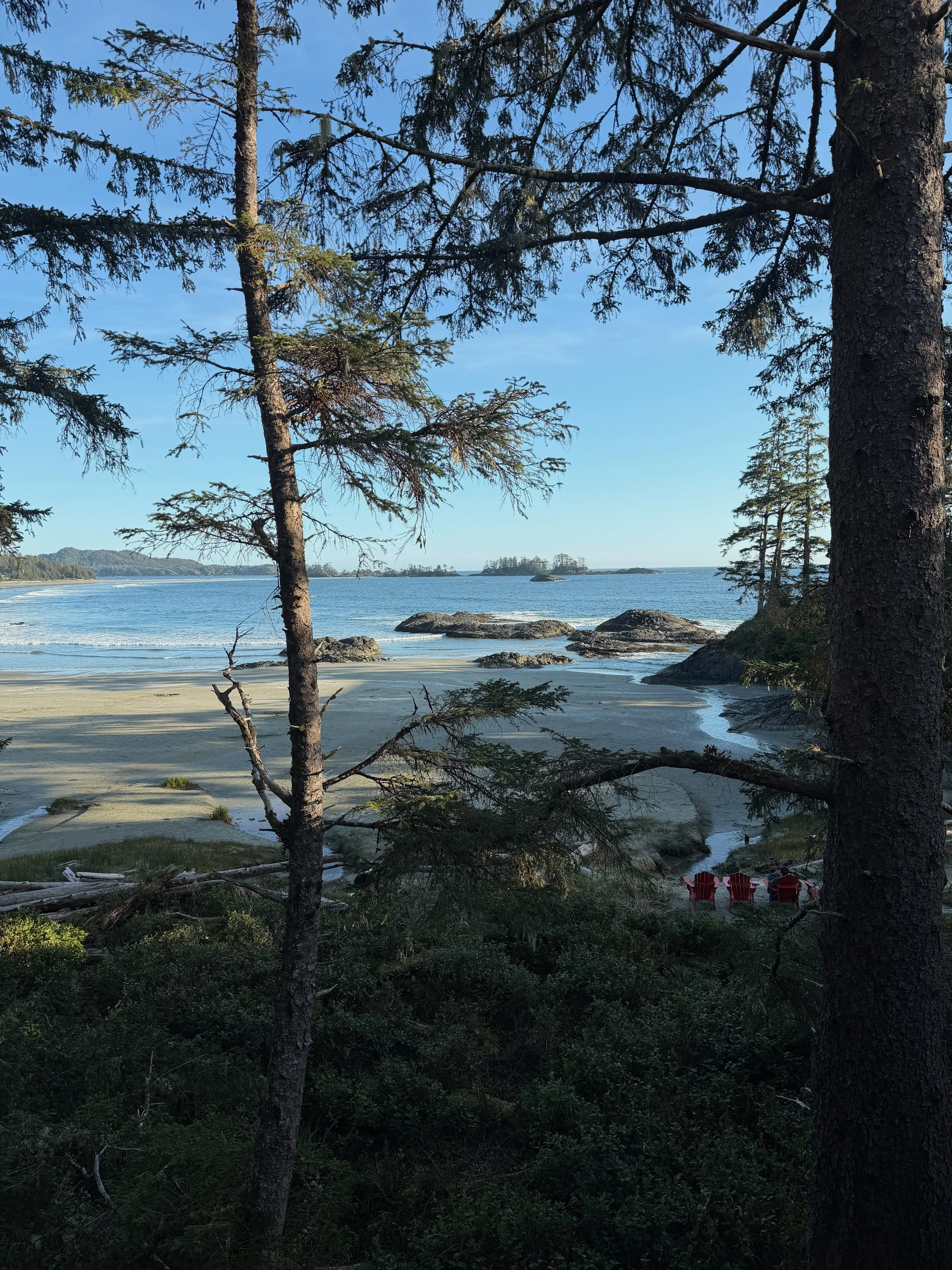 A Culinary Pilgrimage to Tofino, BC: 