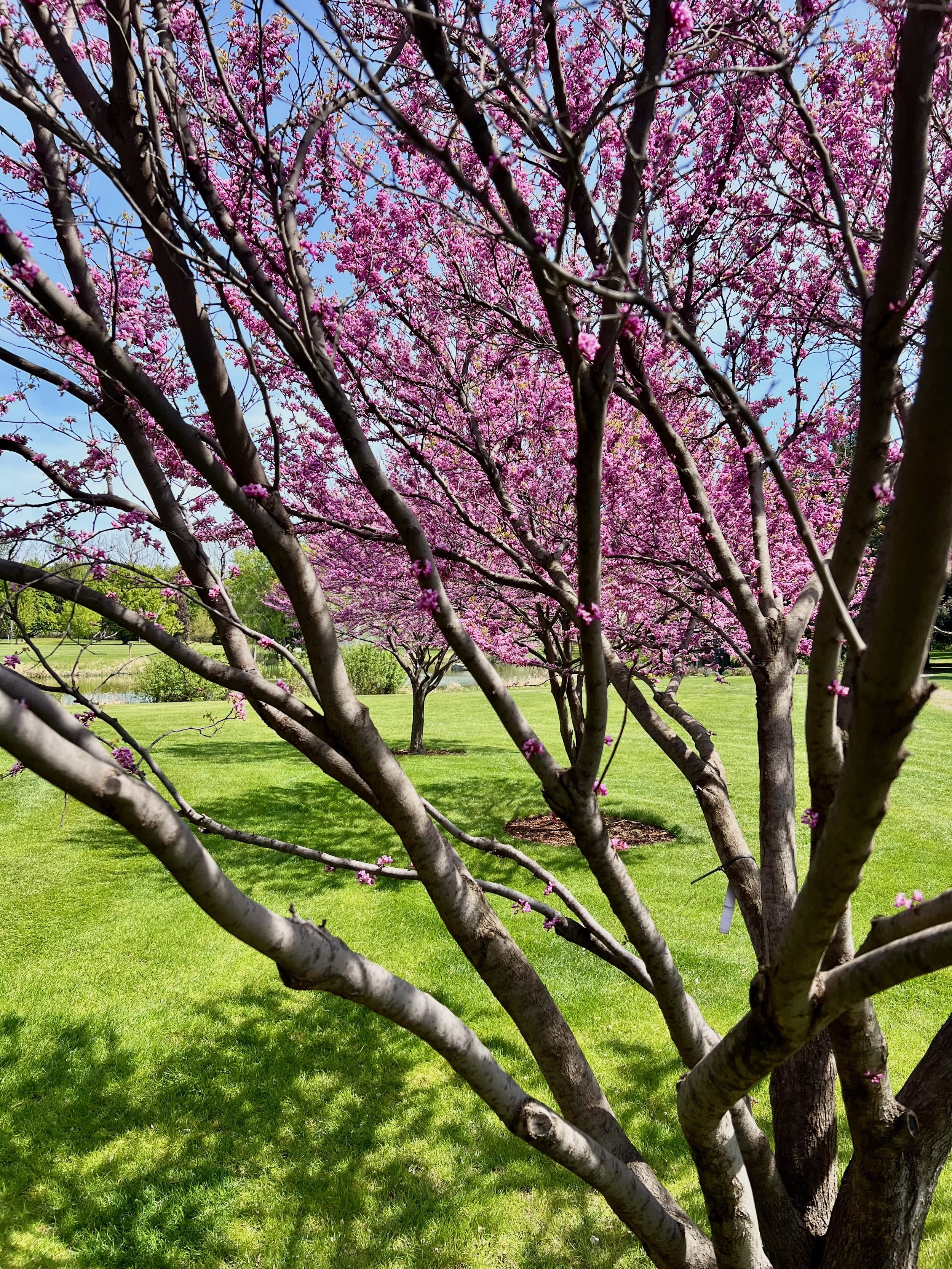 Yakima Valley Spring Barrel Weekend