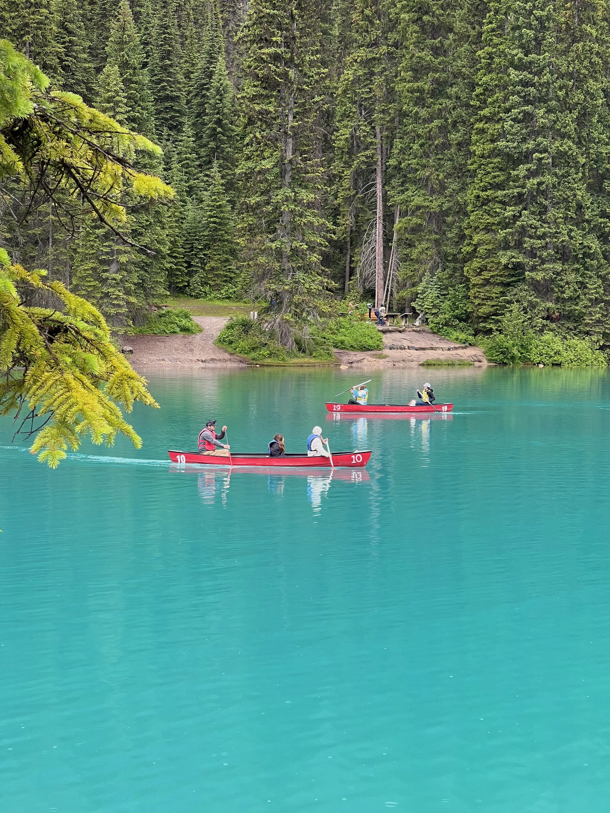 From Rainforest to Rockies on the Trans-Canada Highway