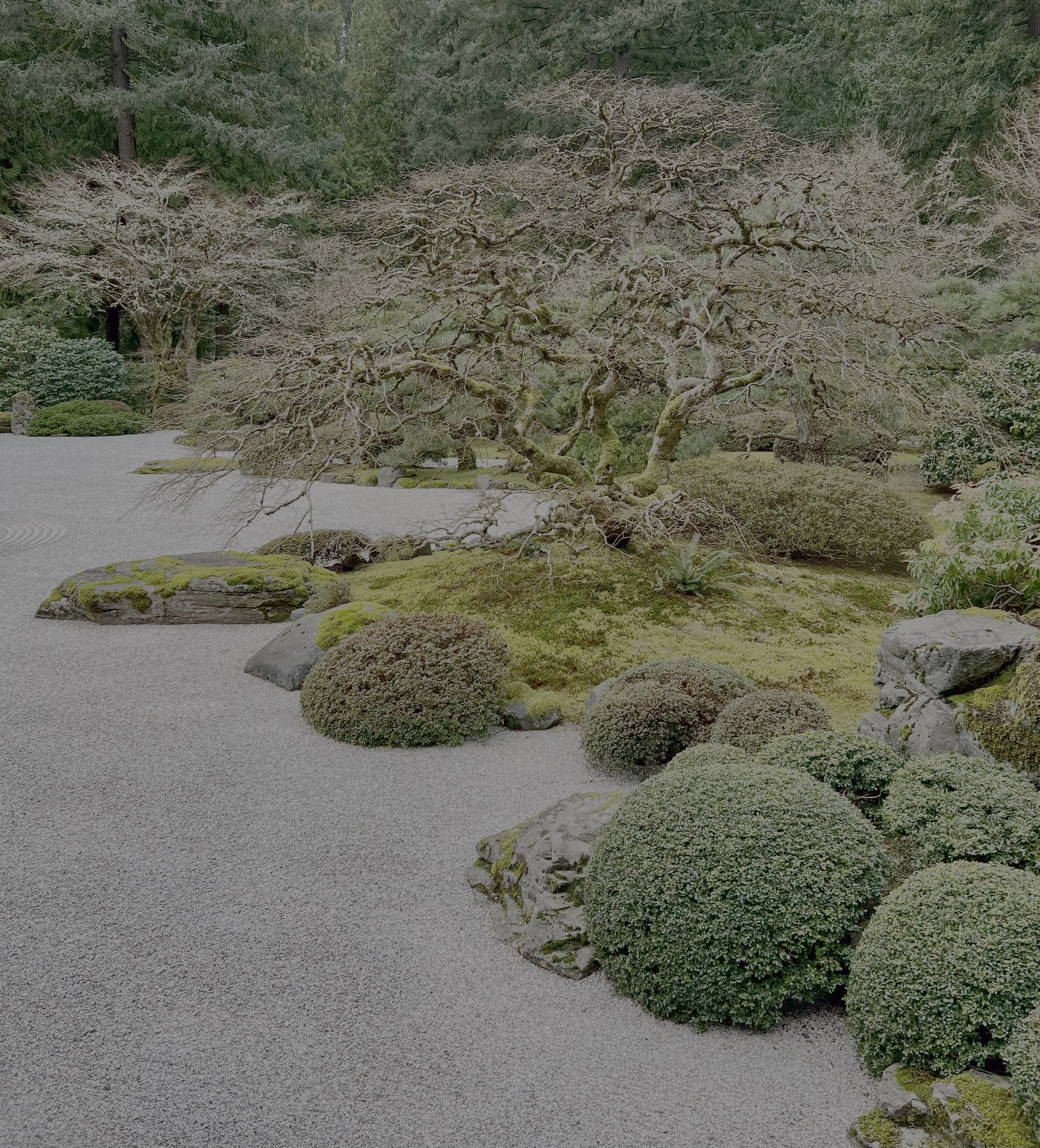 Gems of Japanese Culture in Greater Portland, Oregon