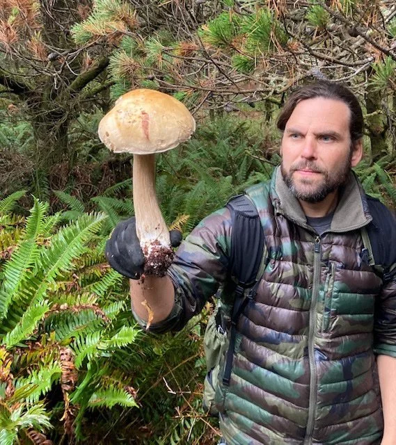 Foraging for Fungi