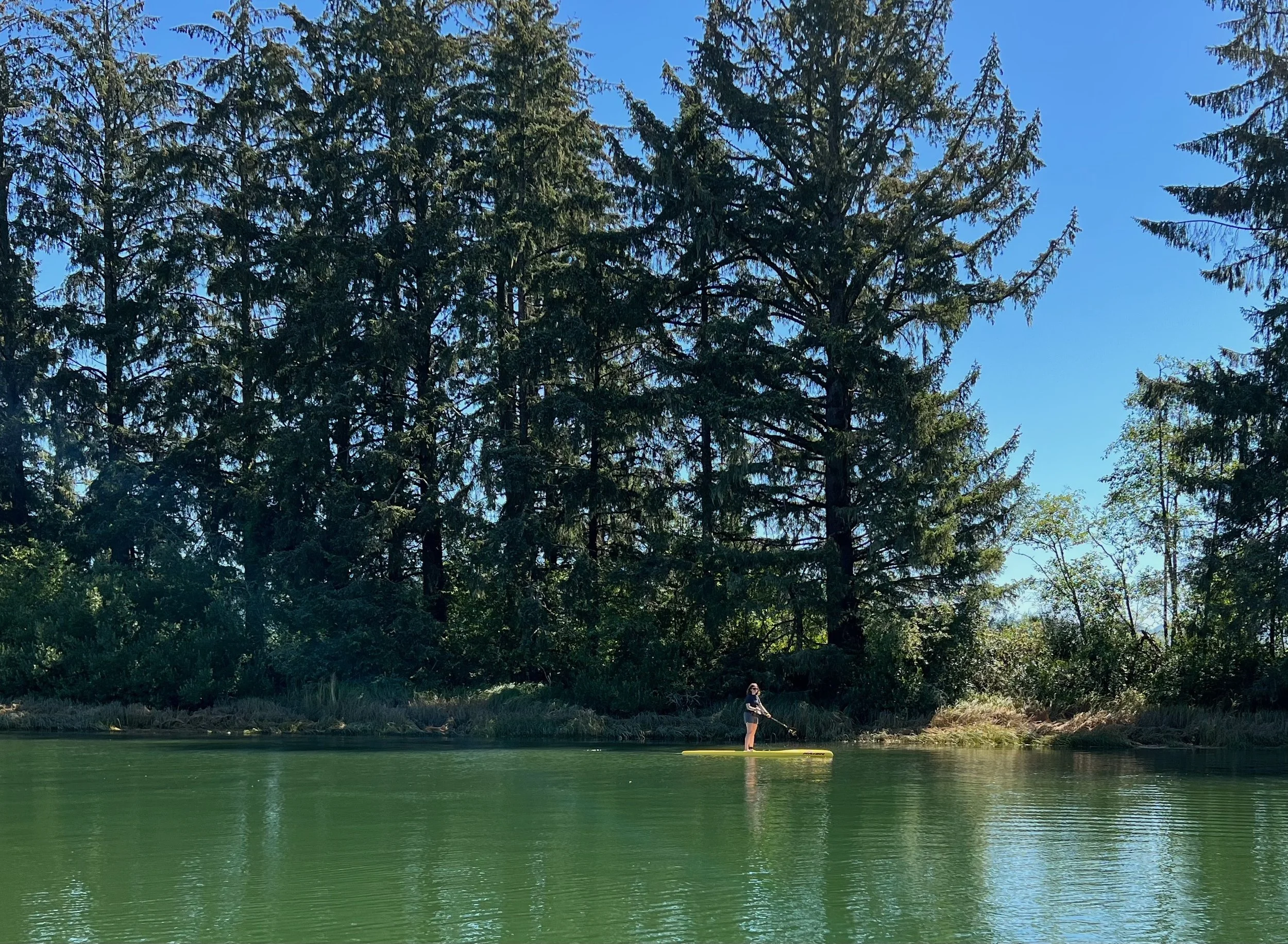 Step into a Monet: Nehalem, Oregon