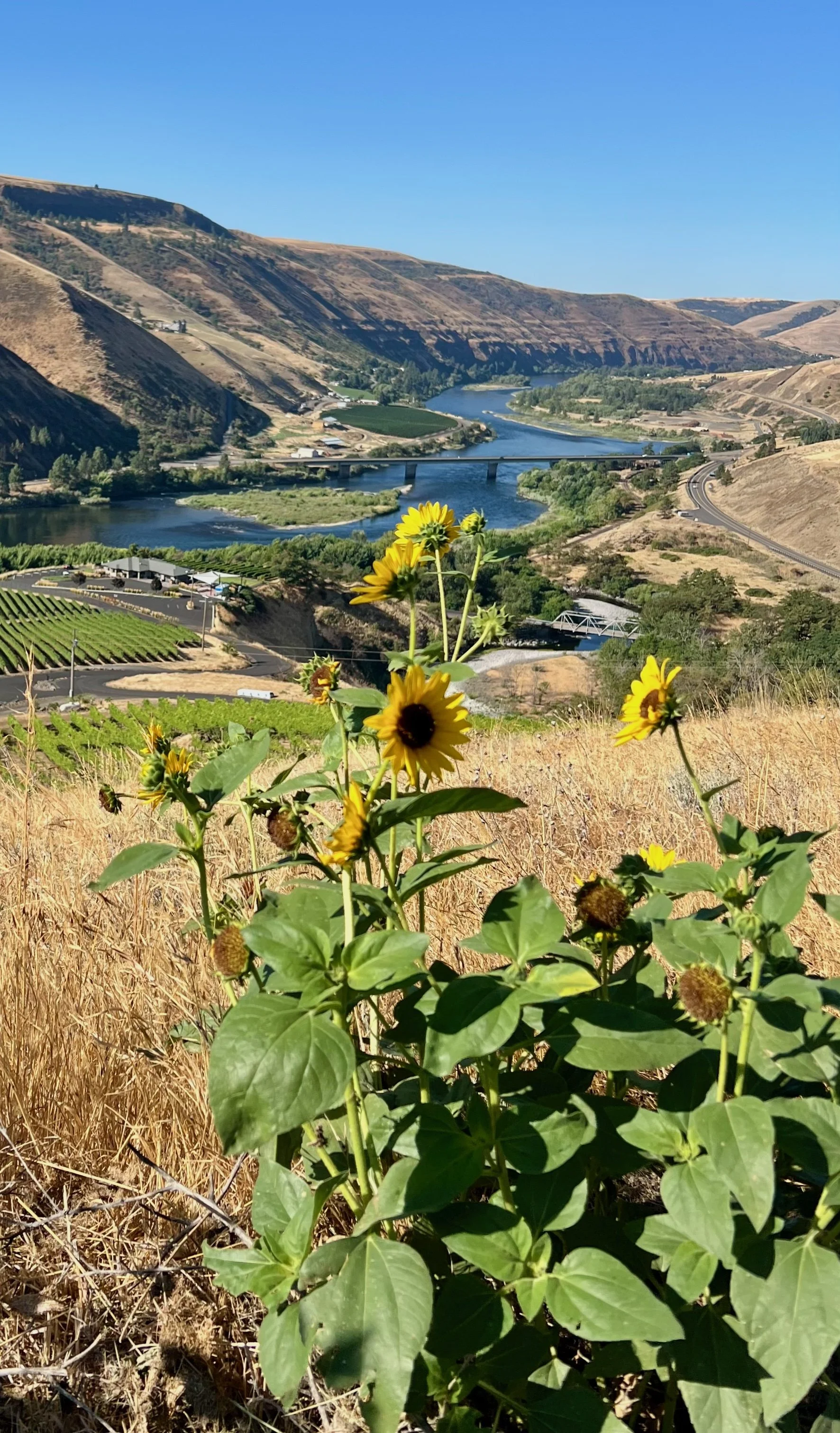 Unwinding on the UnWINED Cruise, Hells Canyon